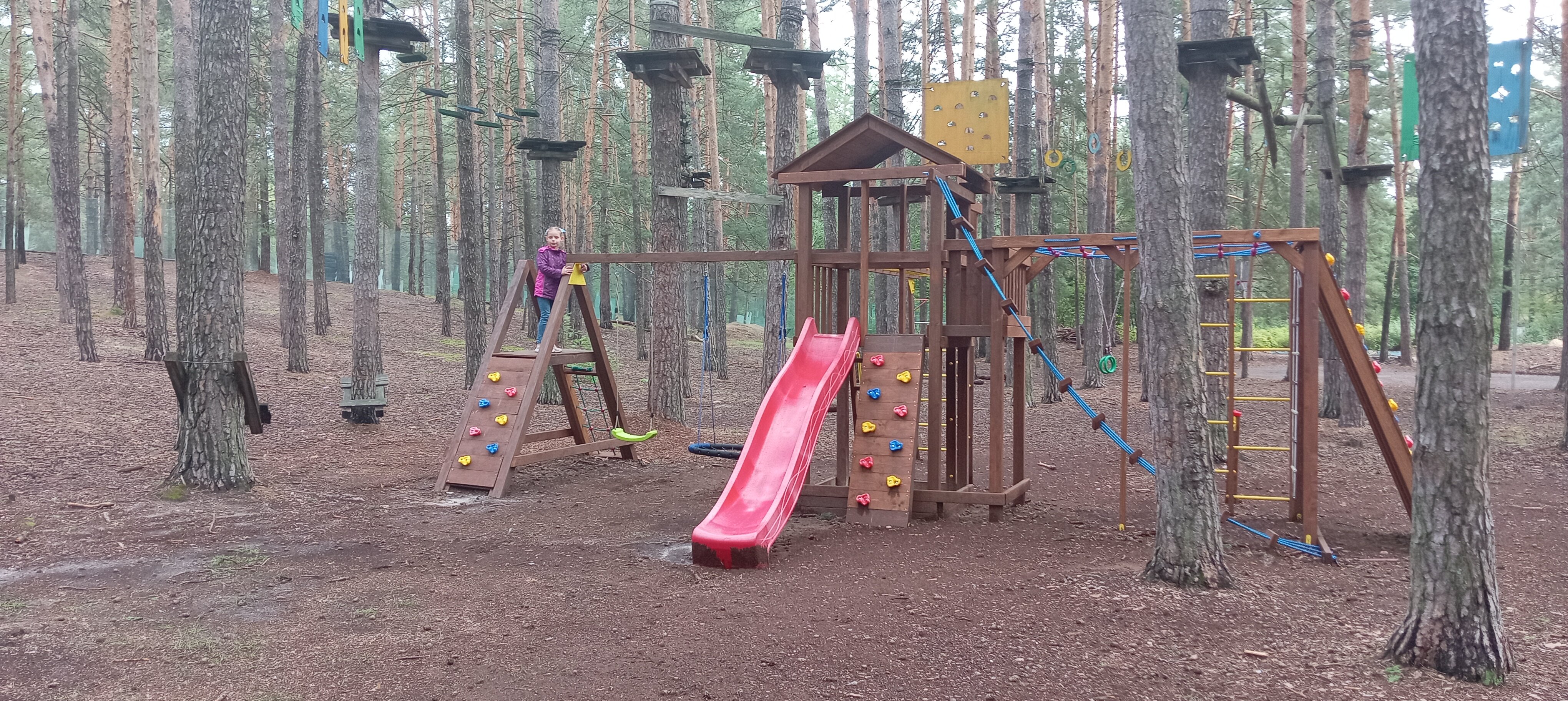 Фото Большая медведица