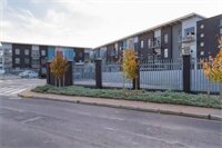 Фото Wink Quiver Tree