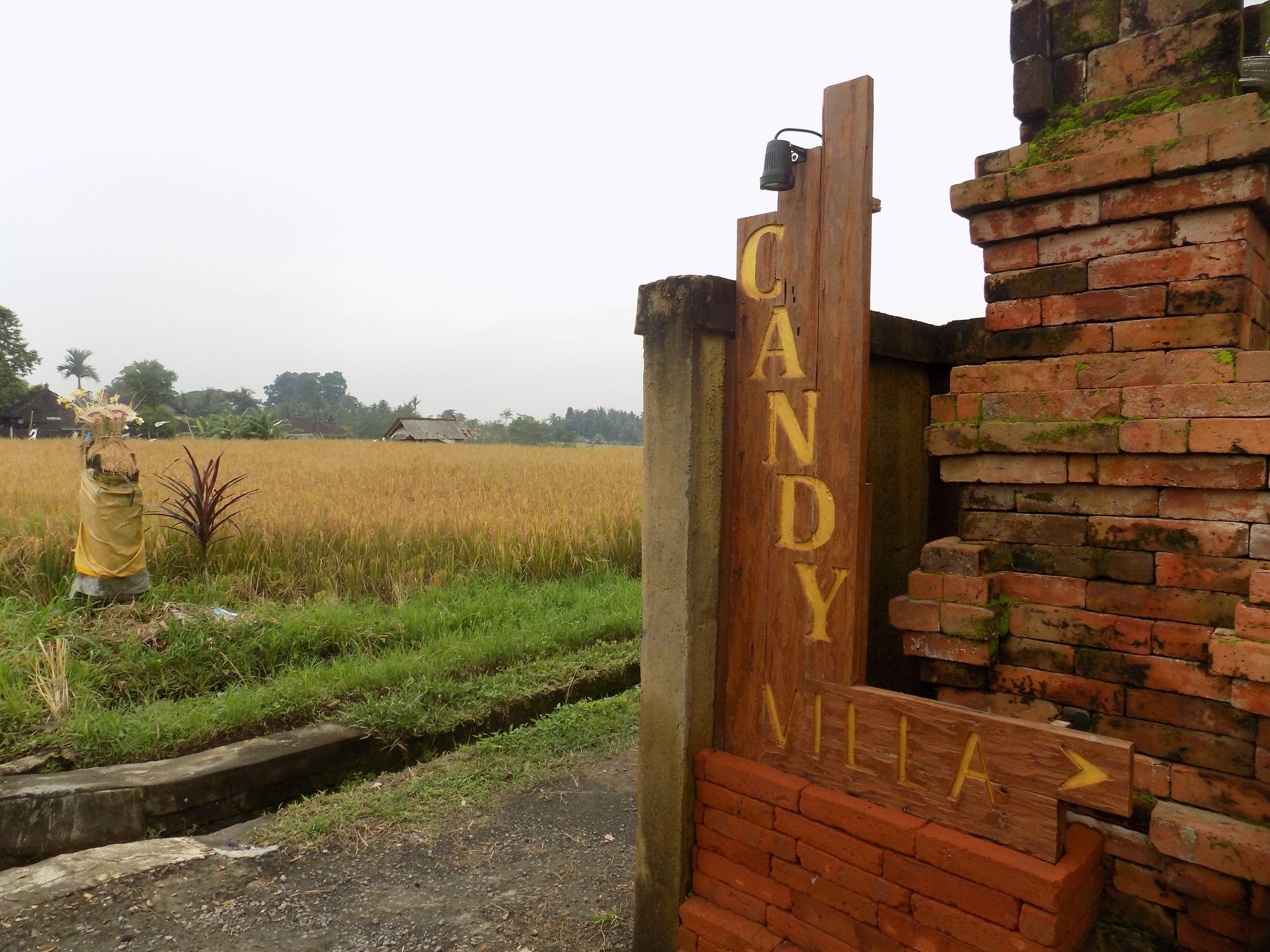 Фото Candy Villa by Pramana Villas