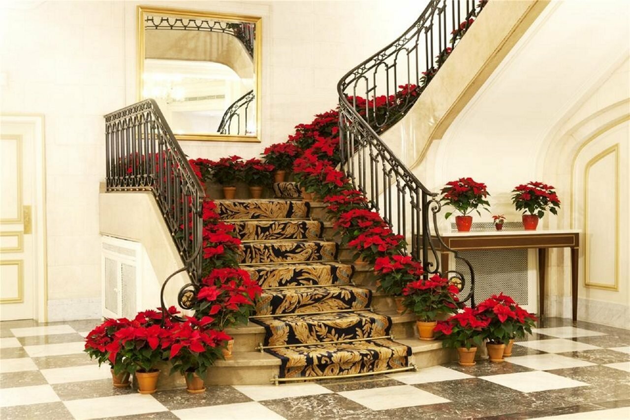 Фото Le Plaza Hotel Brussels