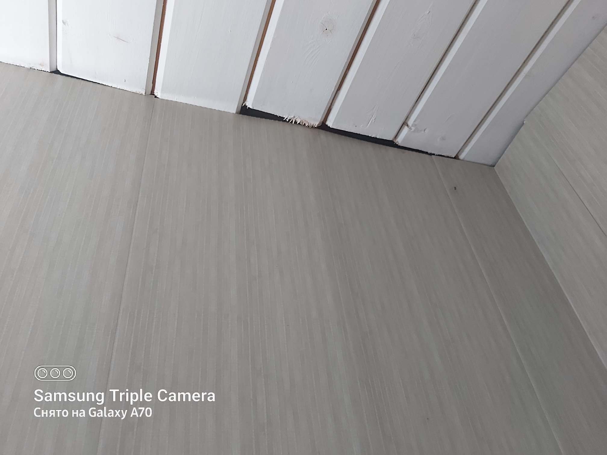 Фото Сосновый бор