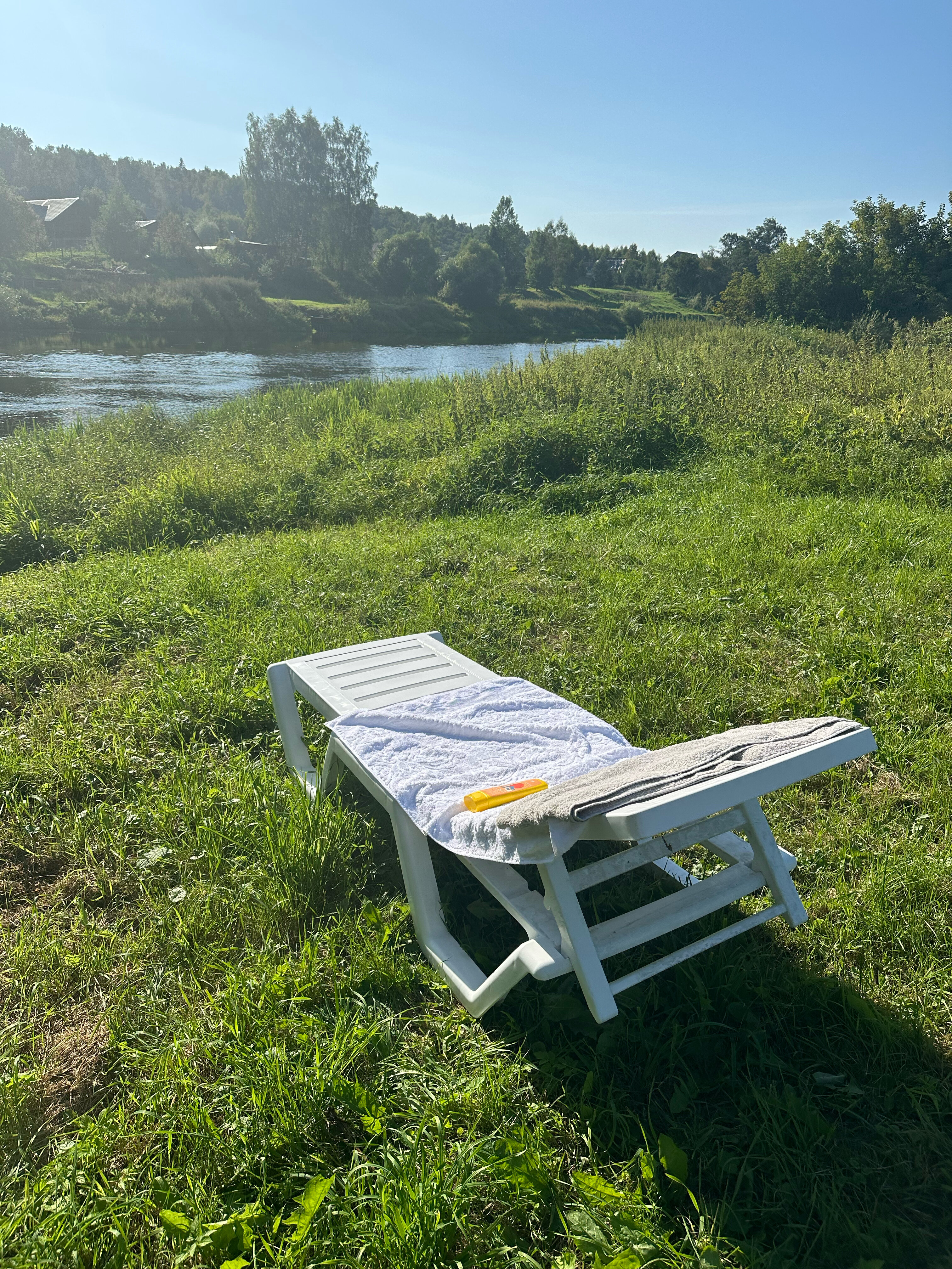 Фото Веселые гуси