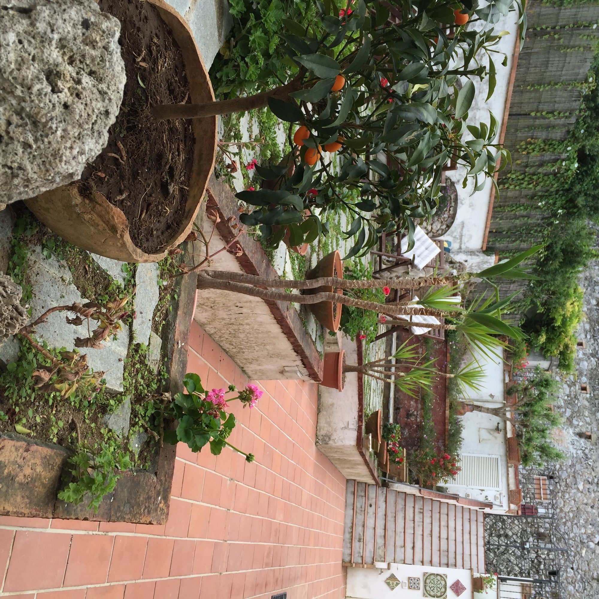 Фото Mediterraneo