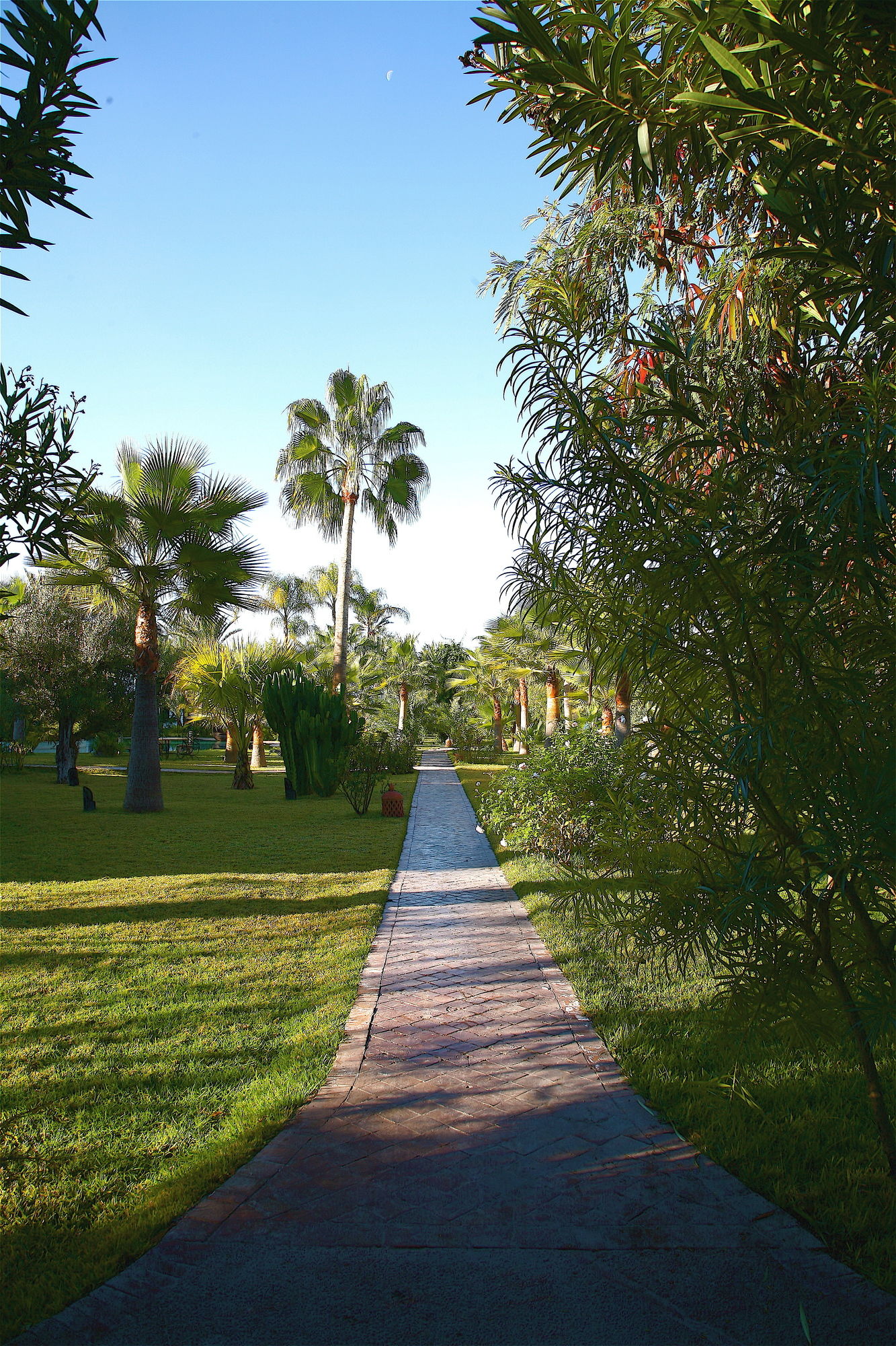 Фото Lodge K Hôtel & SPA