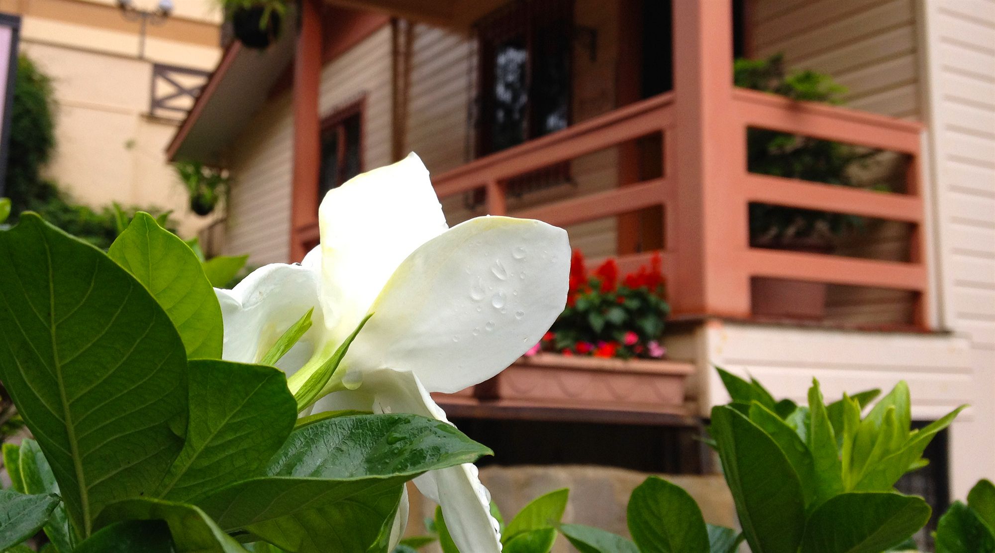 Фото отеля 4