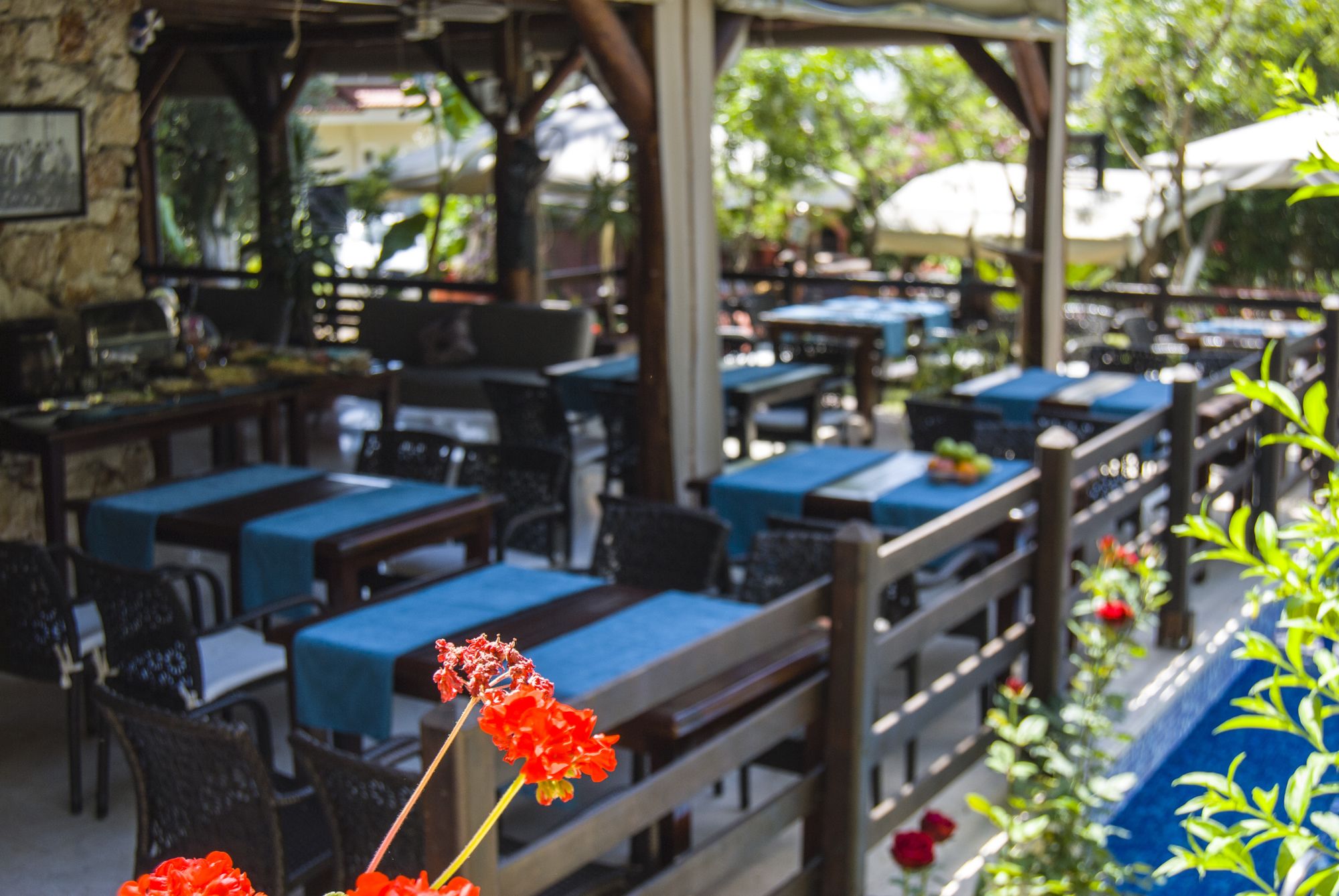 Фото Alya Hotel Gocek