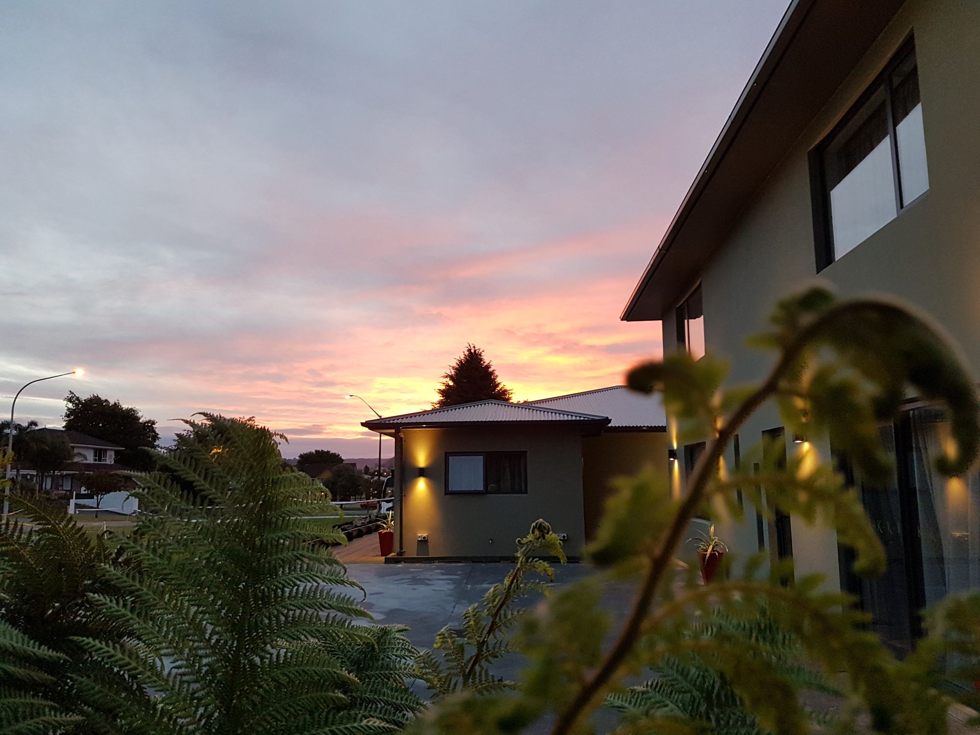 Фото Kings On Peace