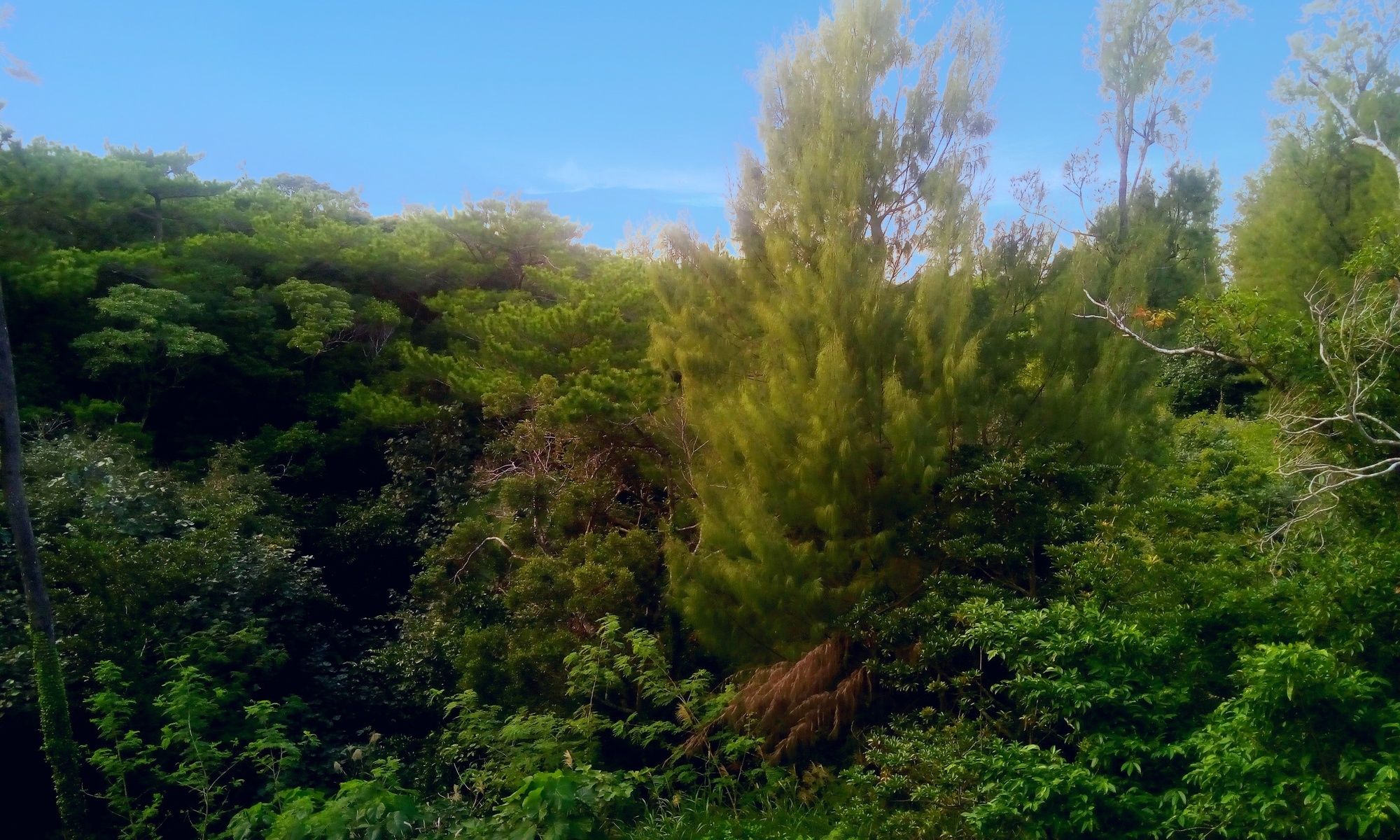 Фото The Peridot Smart Hotel Tancha Ward