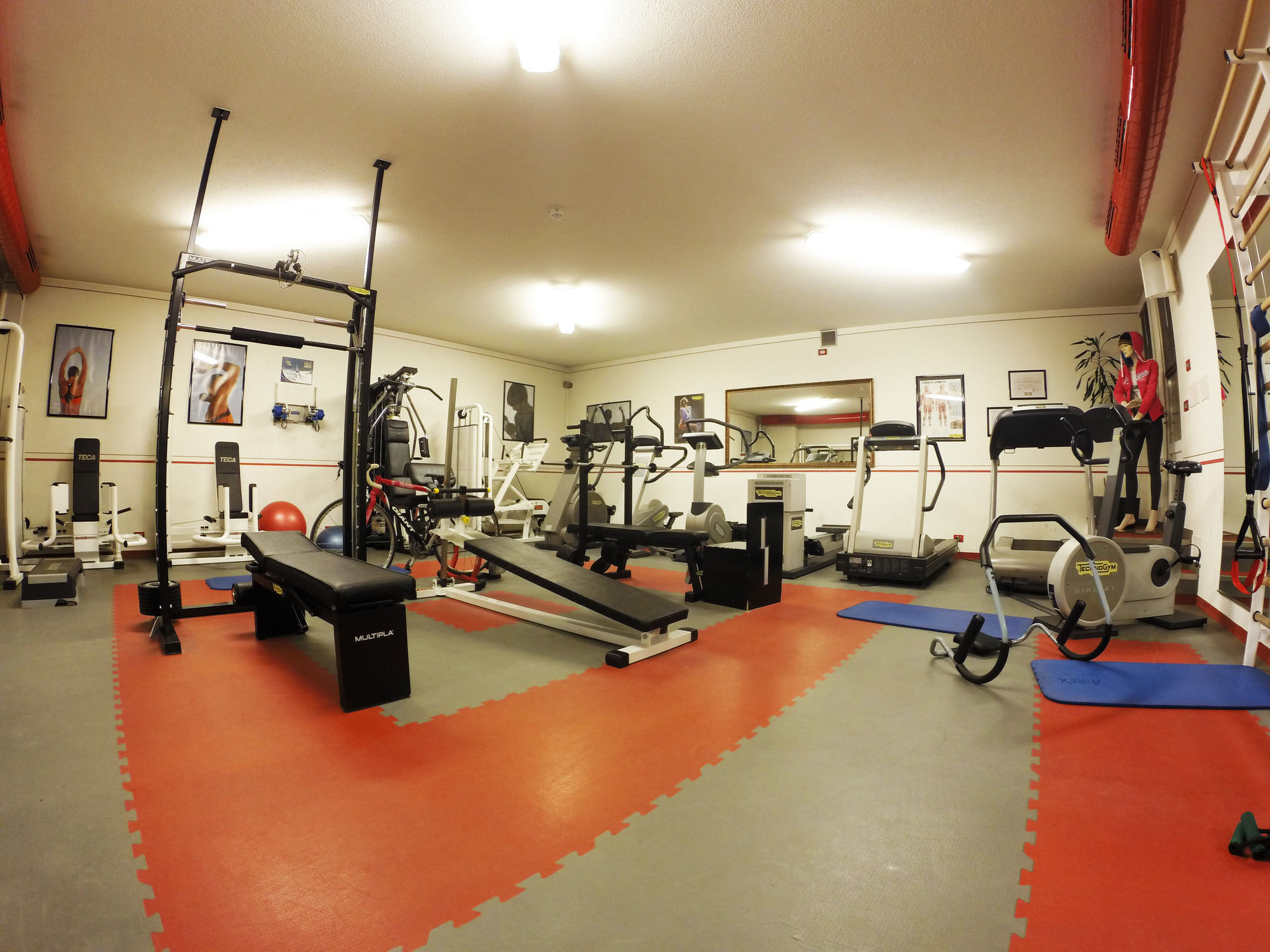 Фото Hotel Francesin