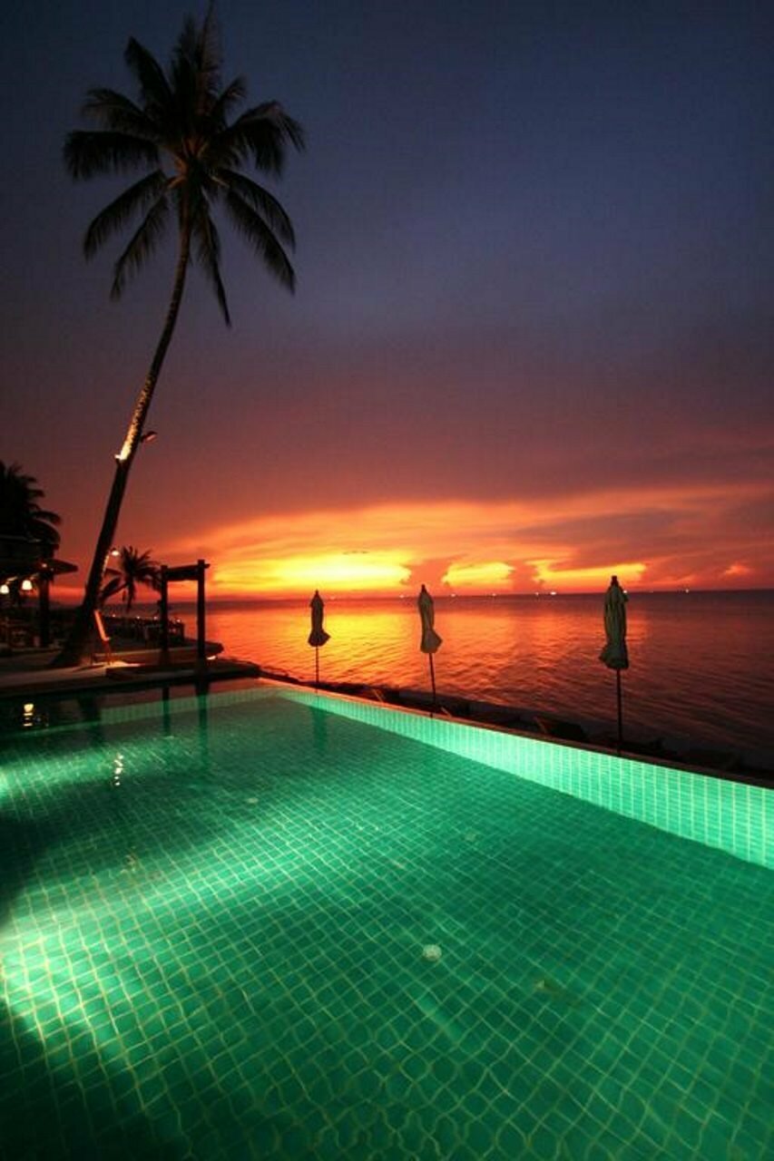 Фото Mimosa Resort & SPA