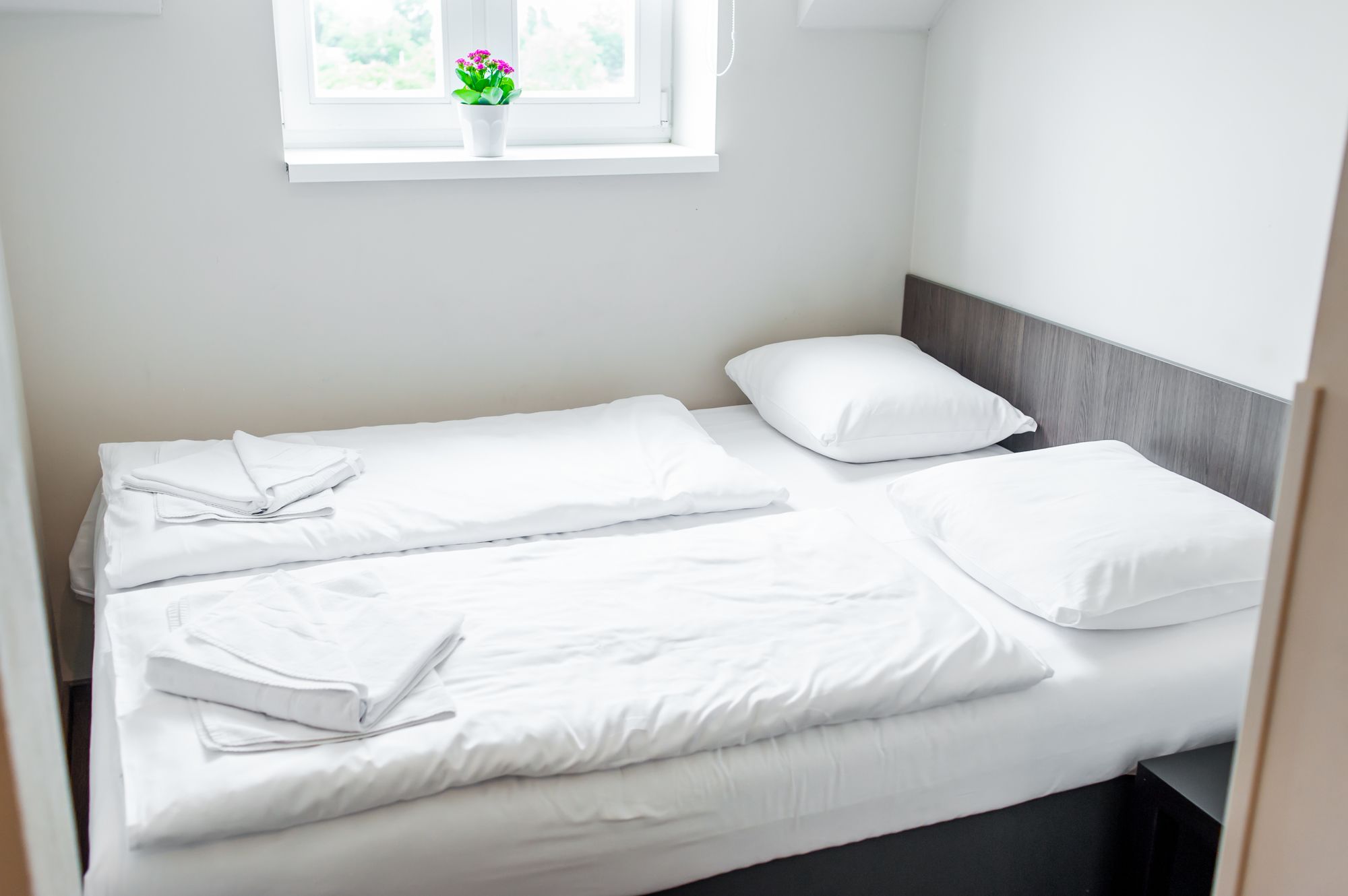 Фото 74096153929