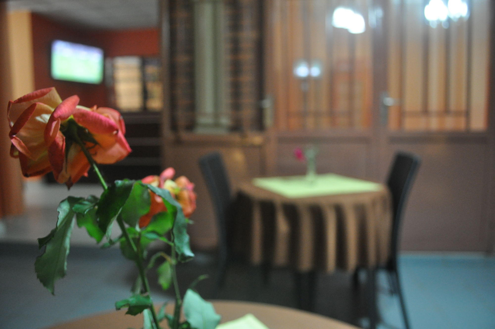 Фото Quiet Haven Hotel