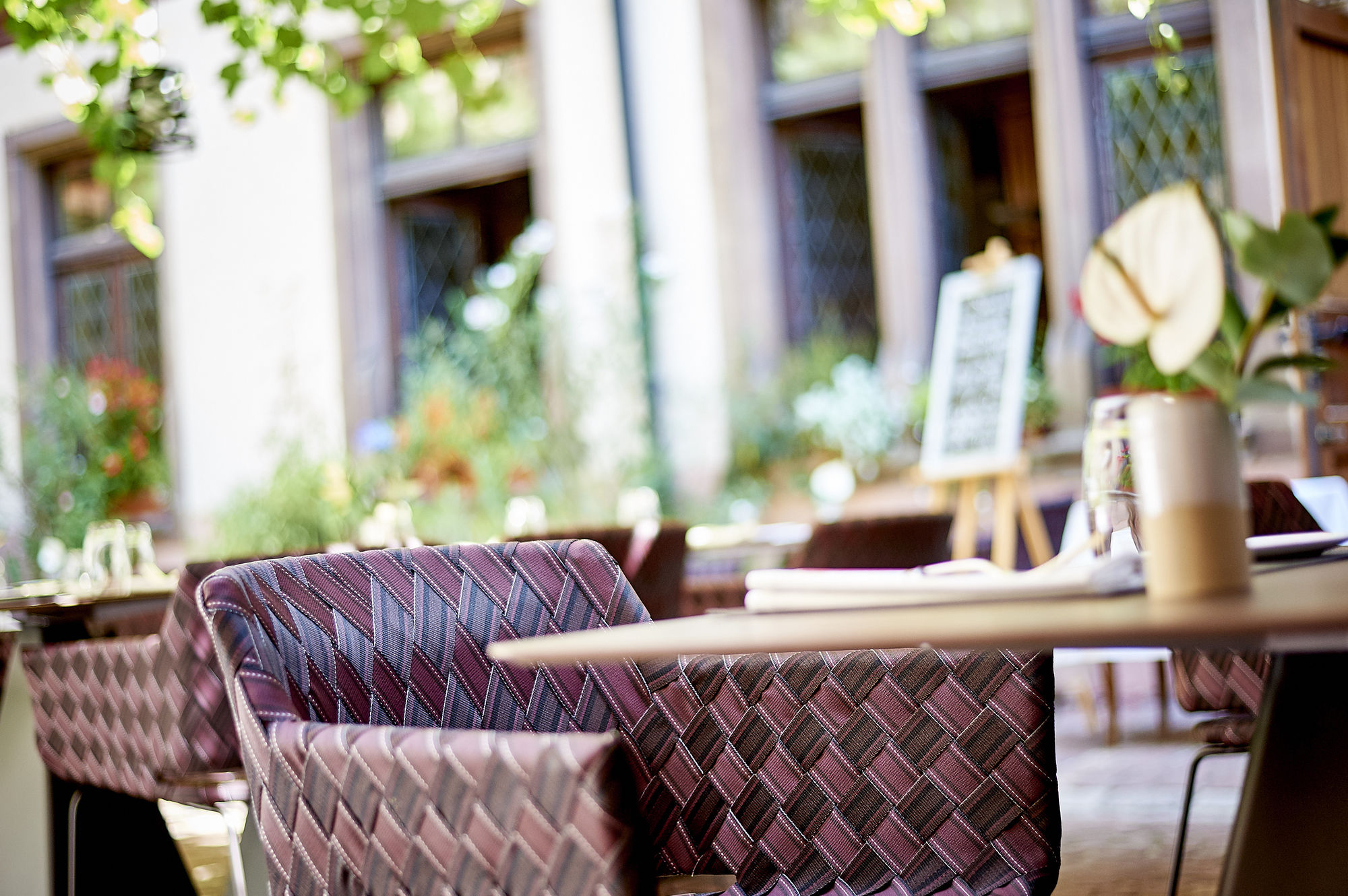 Фото La Maison des Têtes