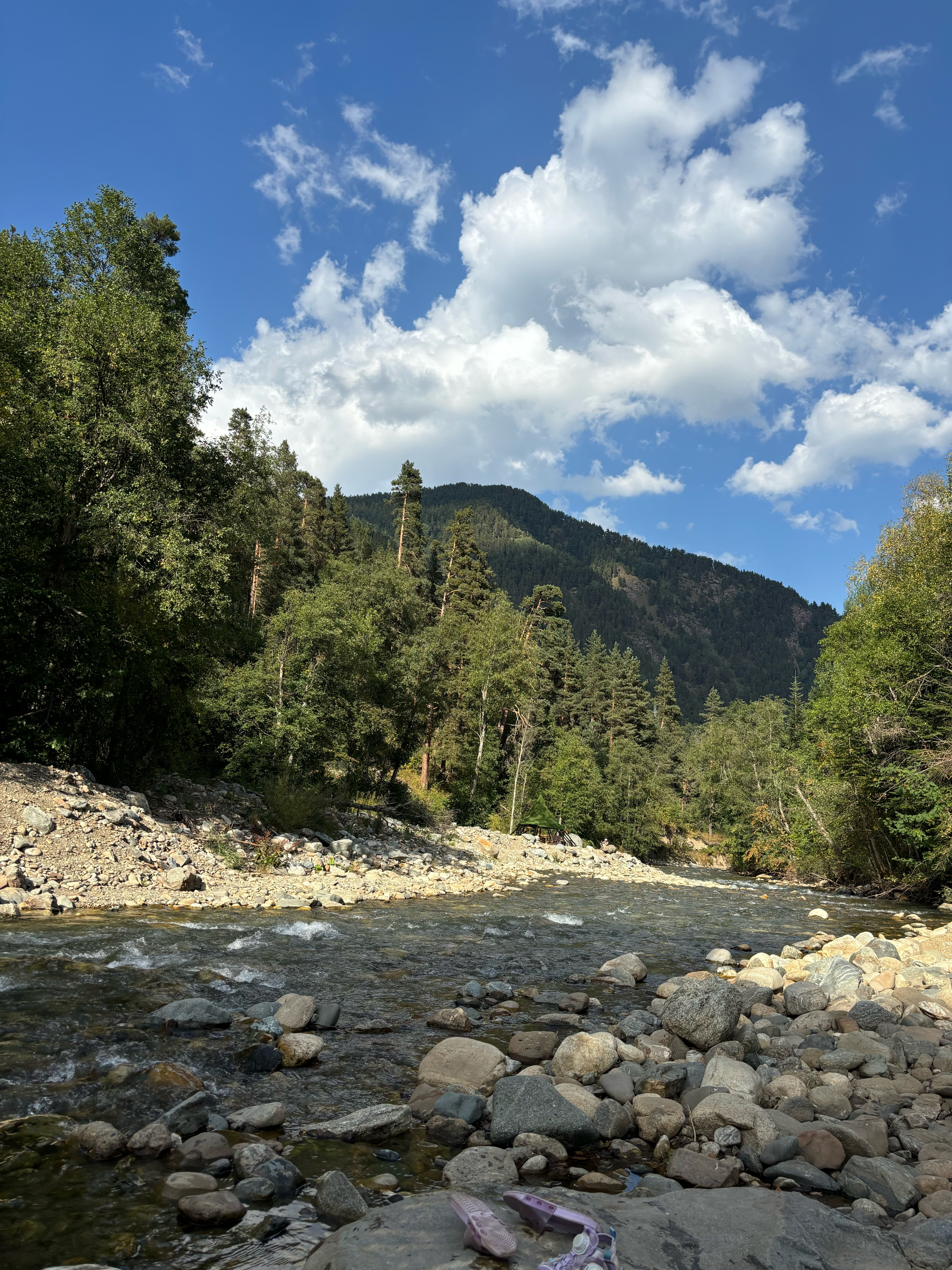 Фото Greenhouse 1599