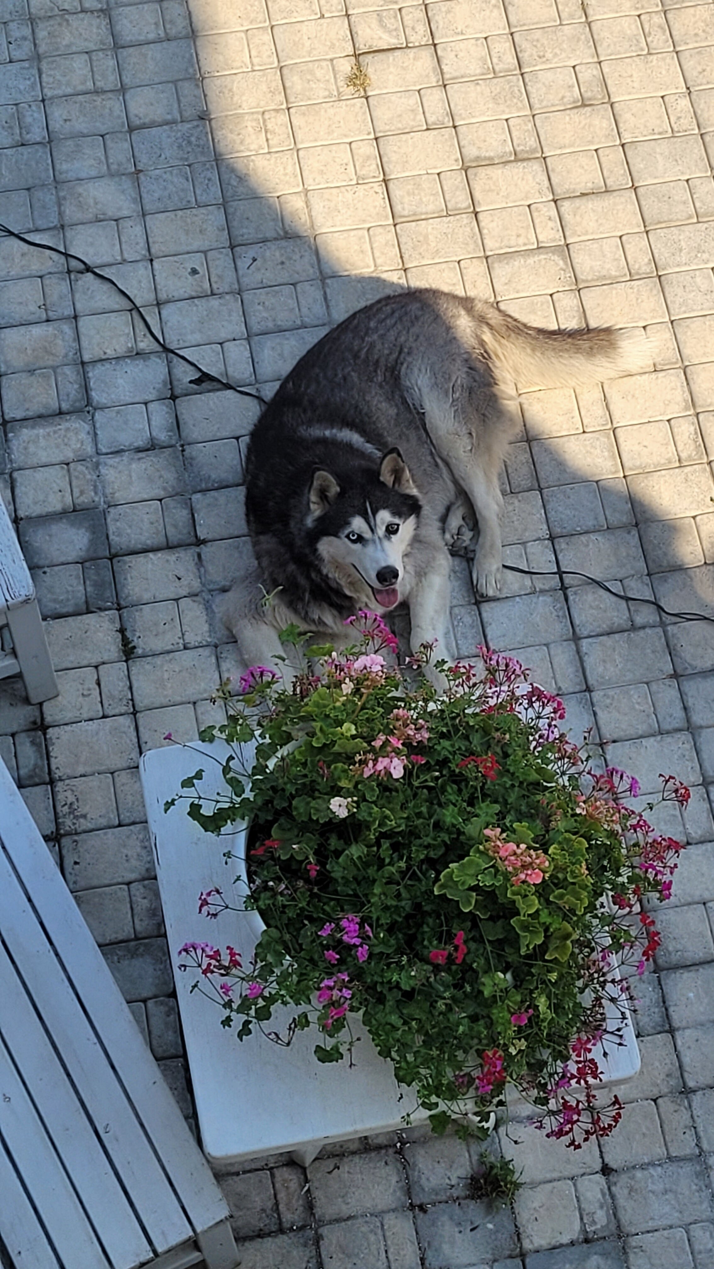 Фото Лейсан