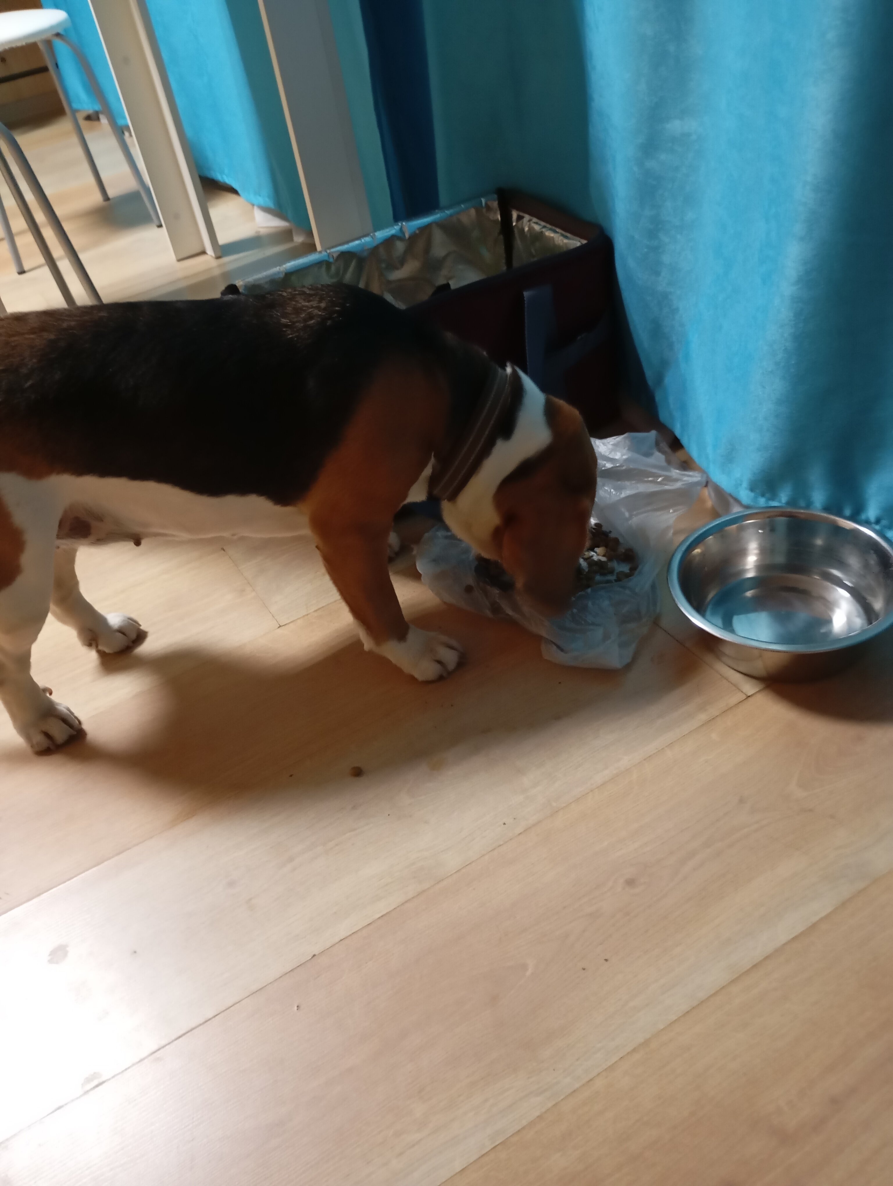 Фото Бондарь Плаза