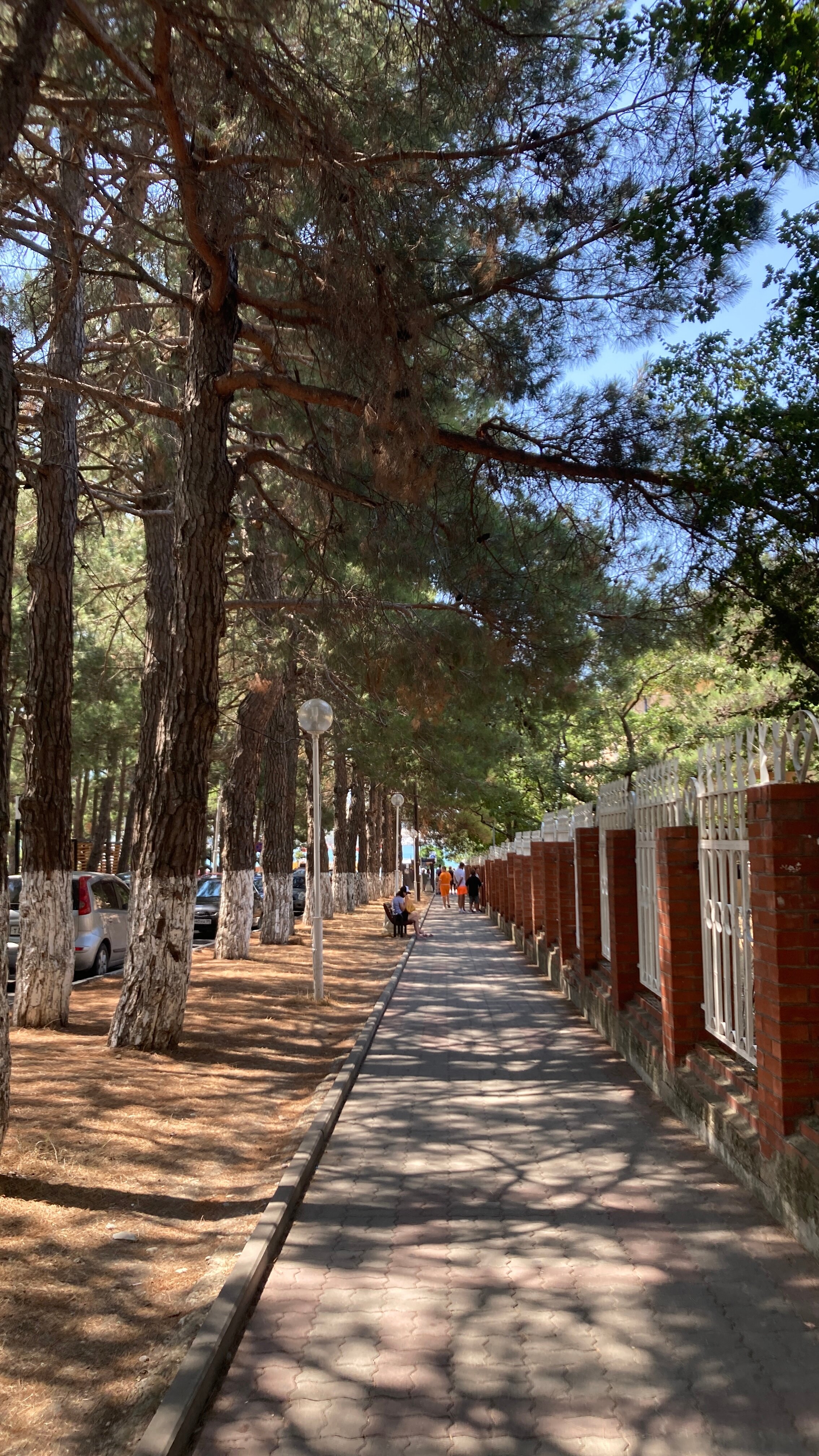 Фото Астерия