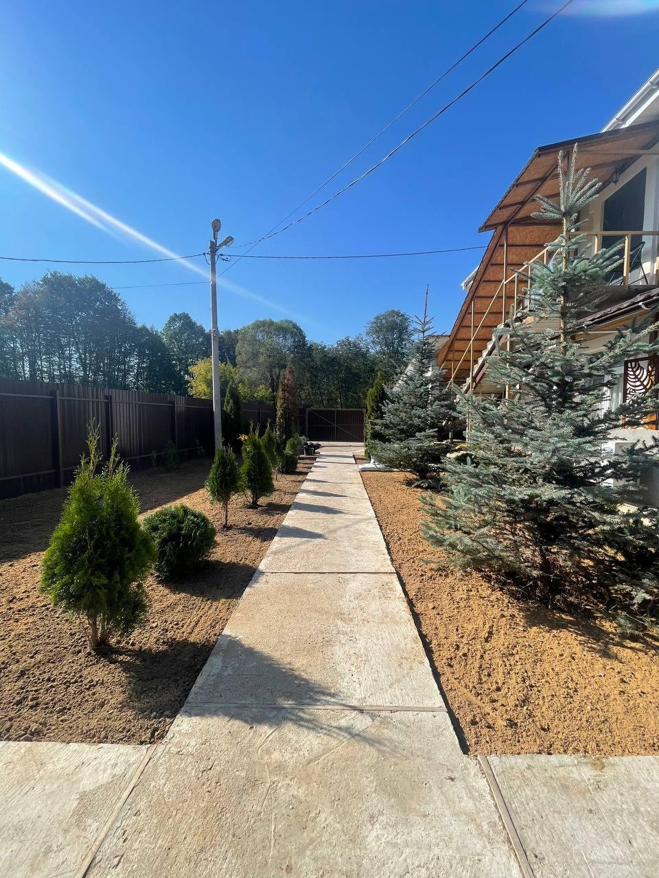 Фото Калина