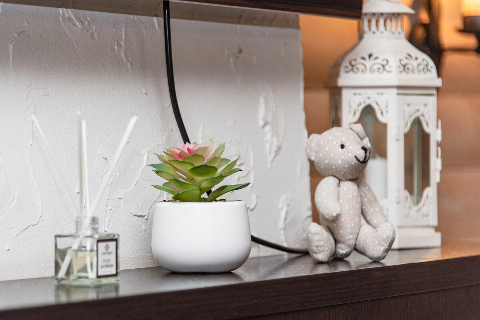 Фото Медведь