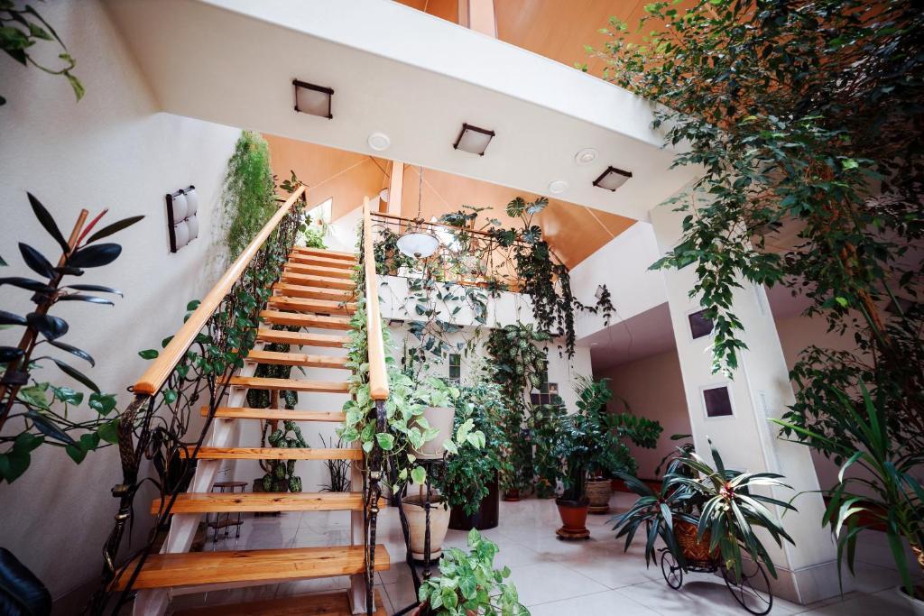 Фото 40-й Меридиан