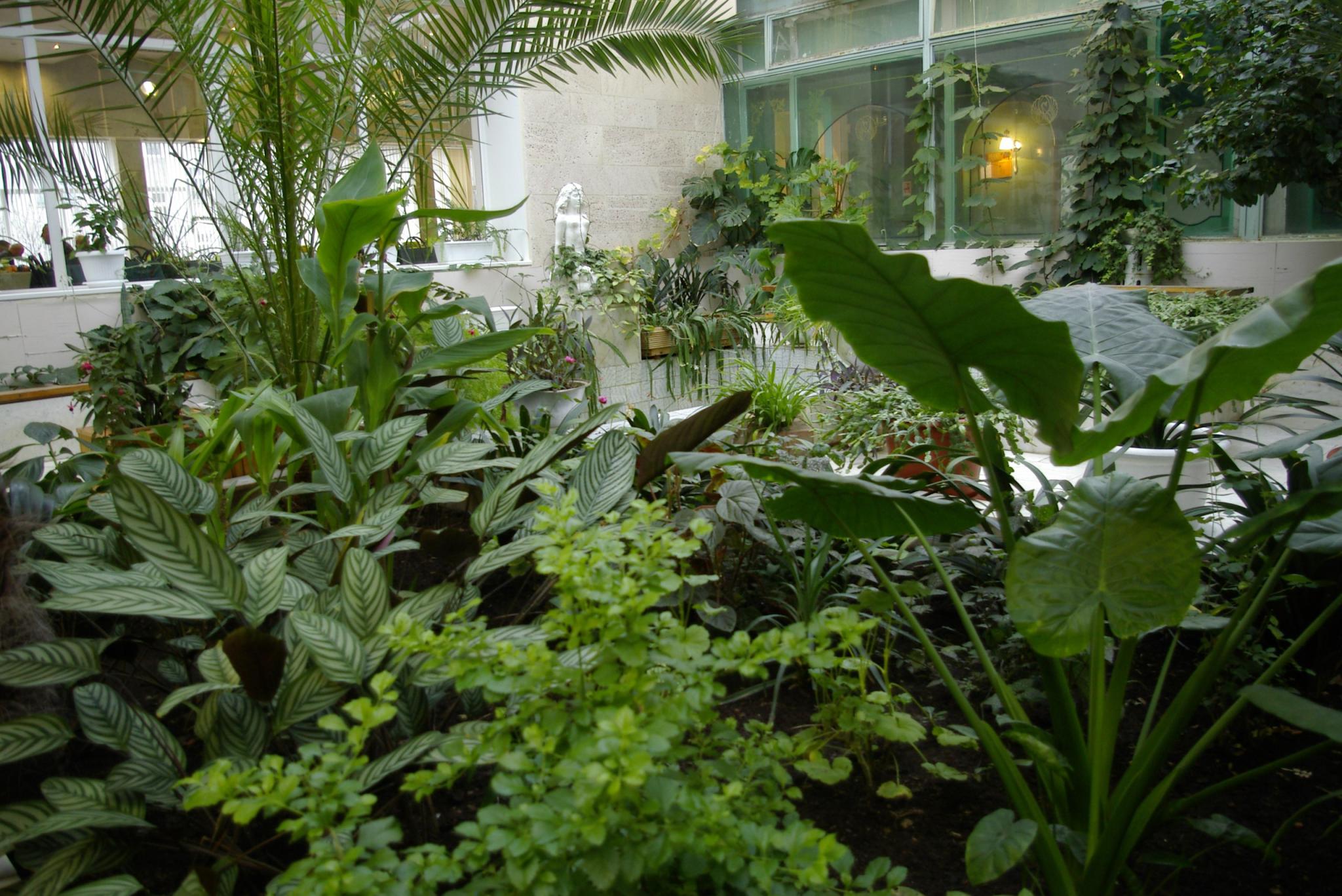 Фото Севмаш