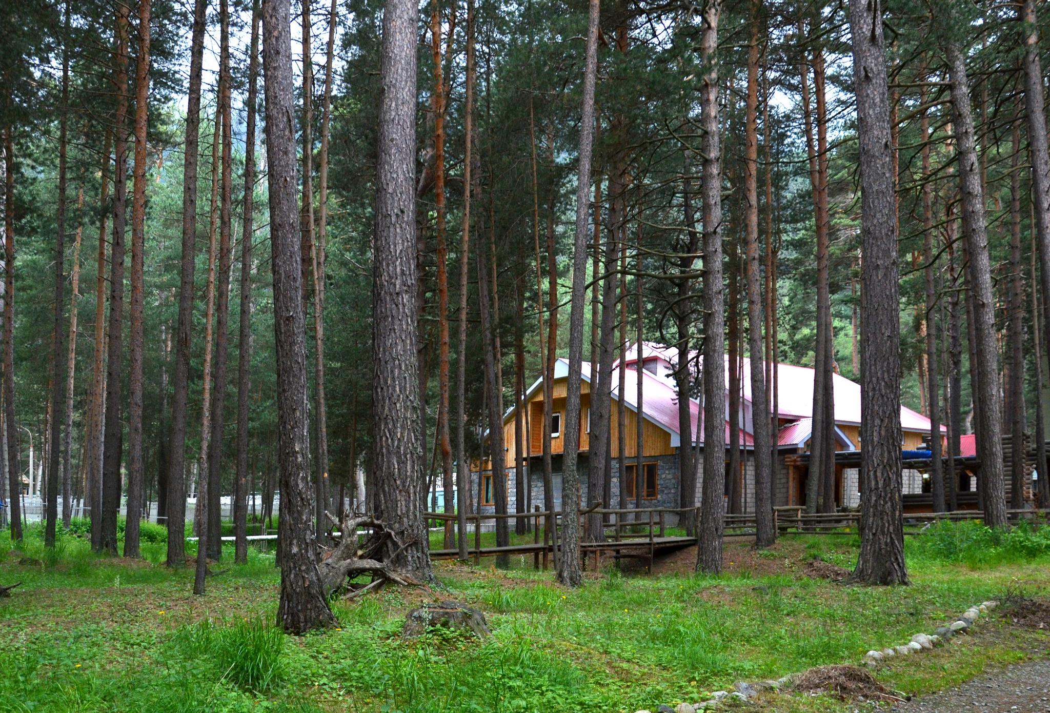 Фото Эльбрус Марал