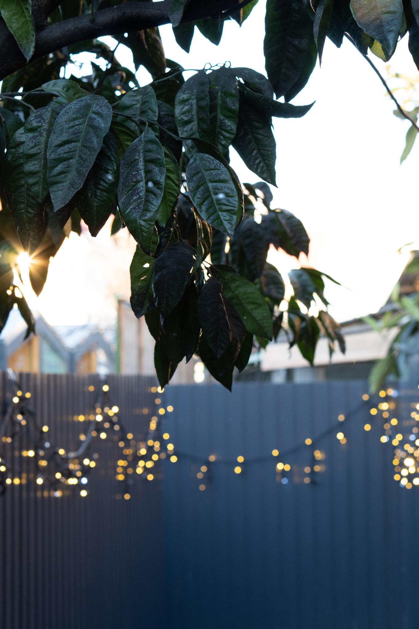 Фото EcoSuite Family