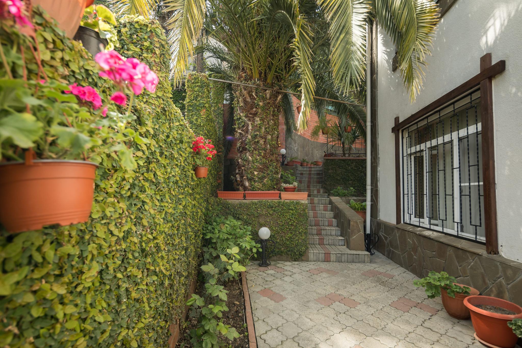 Фото Чайка Сочи