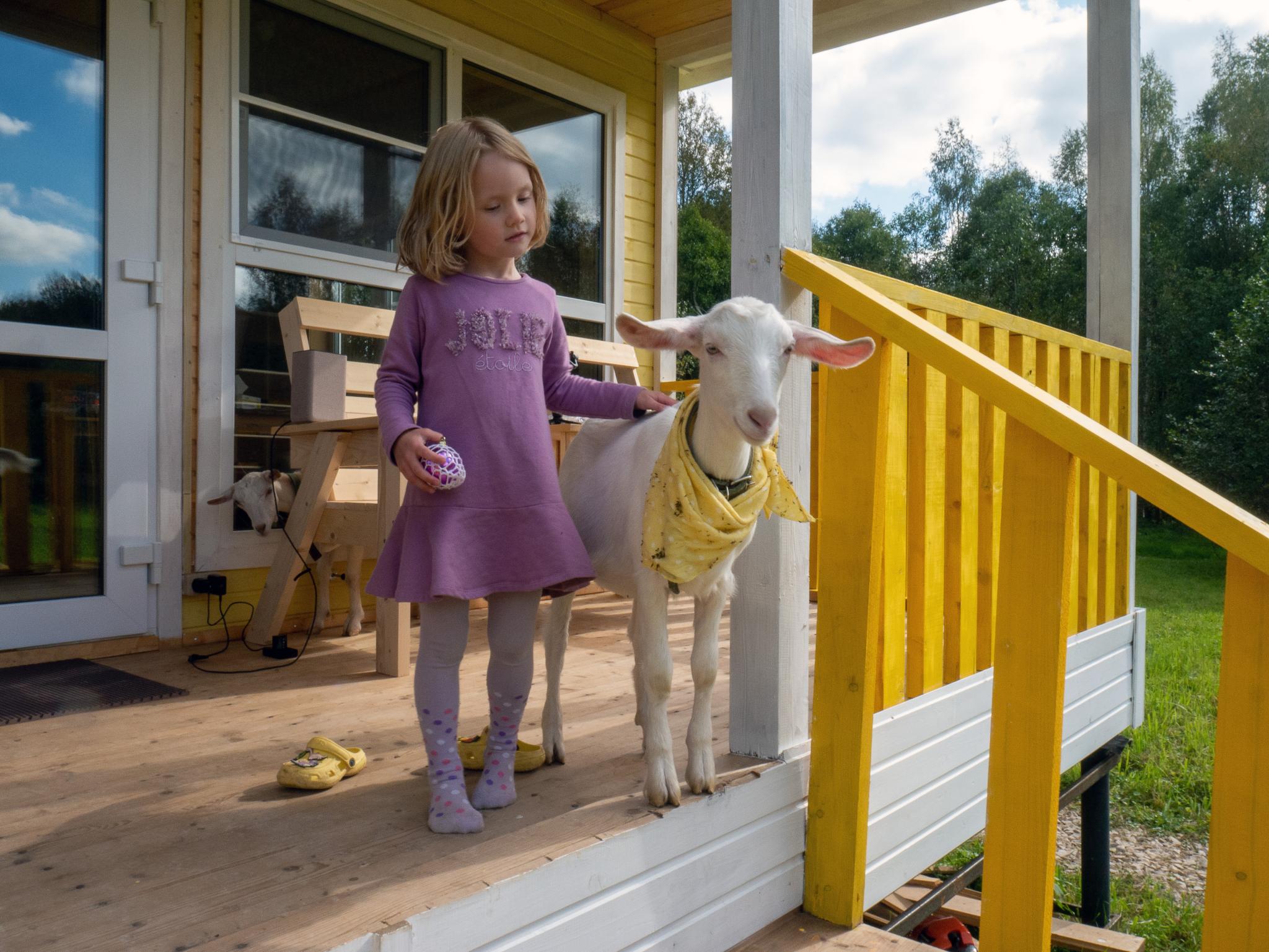 Фото Модная коза