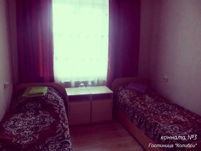 Фото Колибри