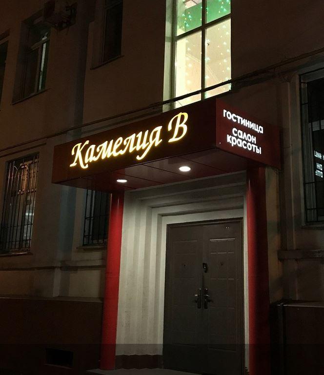 Фото Камелия-В