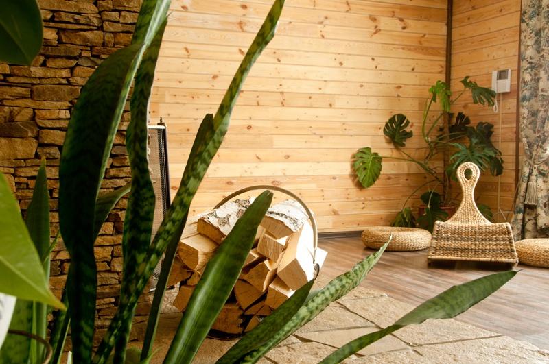 Фото Лукоморье