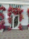 Botany (Lenina Street, 159), flowers and bouquets delivery