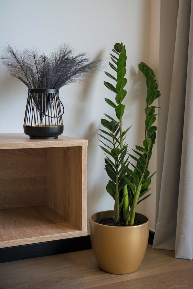 Фото Bj81 Suite Hotel