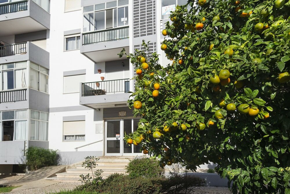 Фото Olala Yolo Apartment