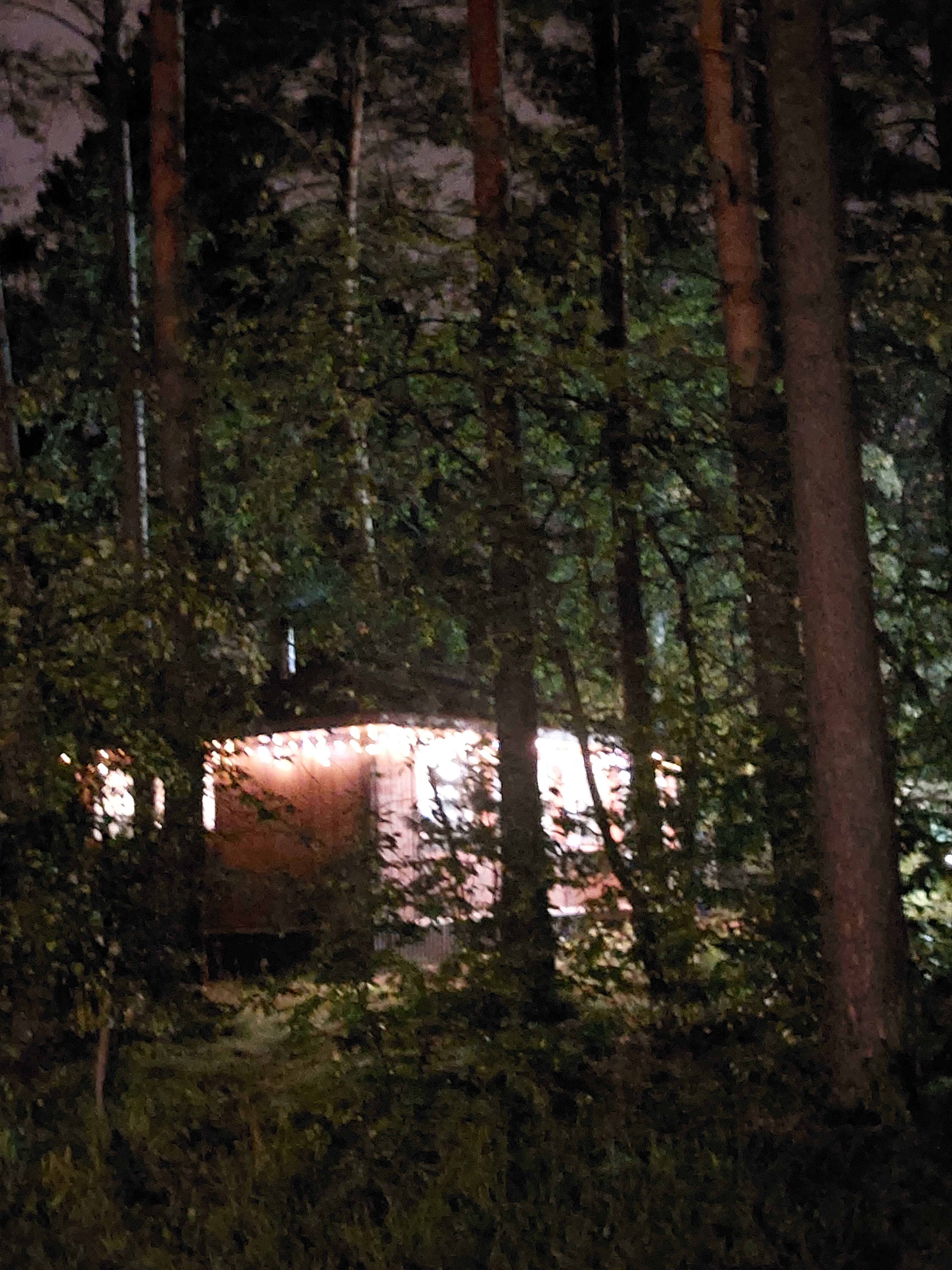 Фото Академия