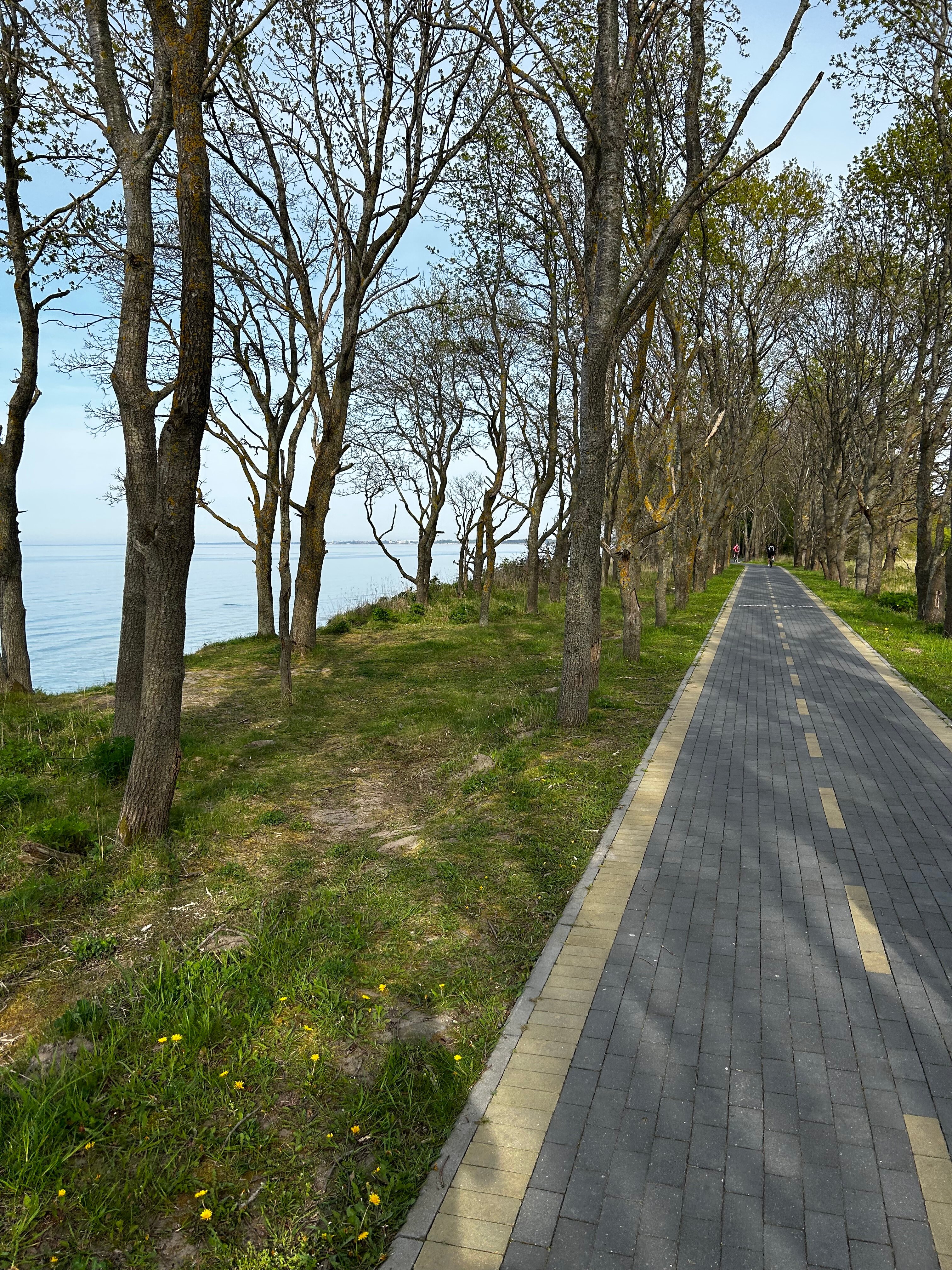 Фото Жизнь у моря