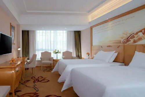 Гостиница Vienna Hotel в Сиане