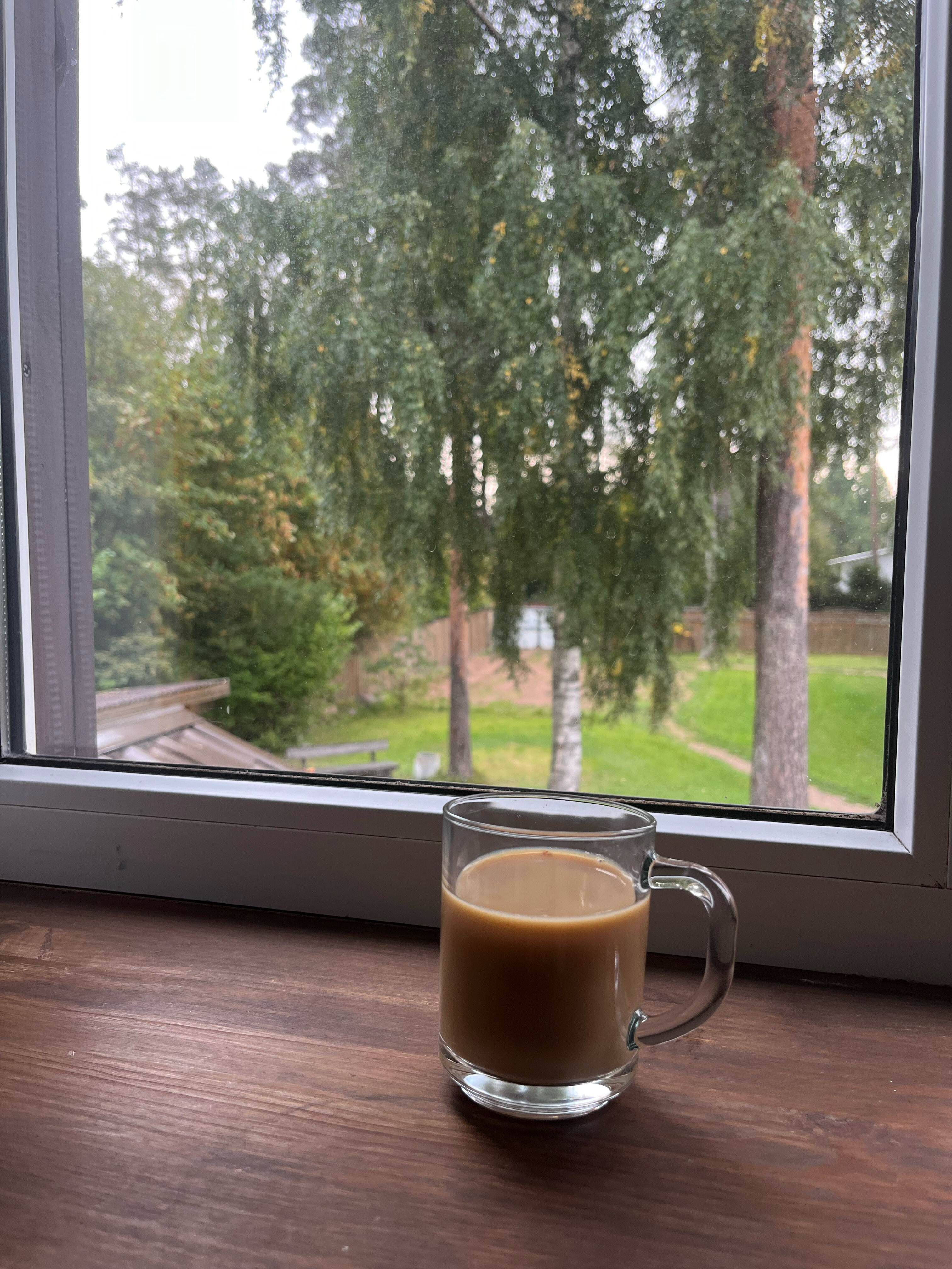 Фото Мичуринский дворик