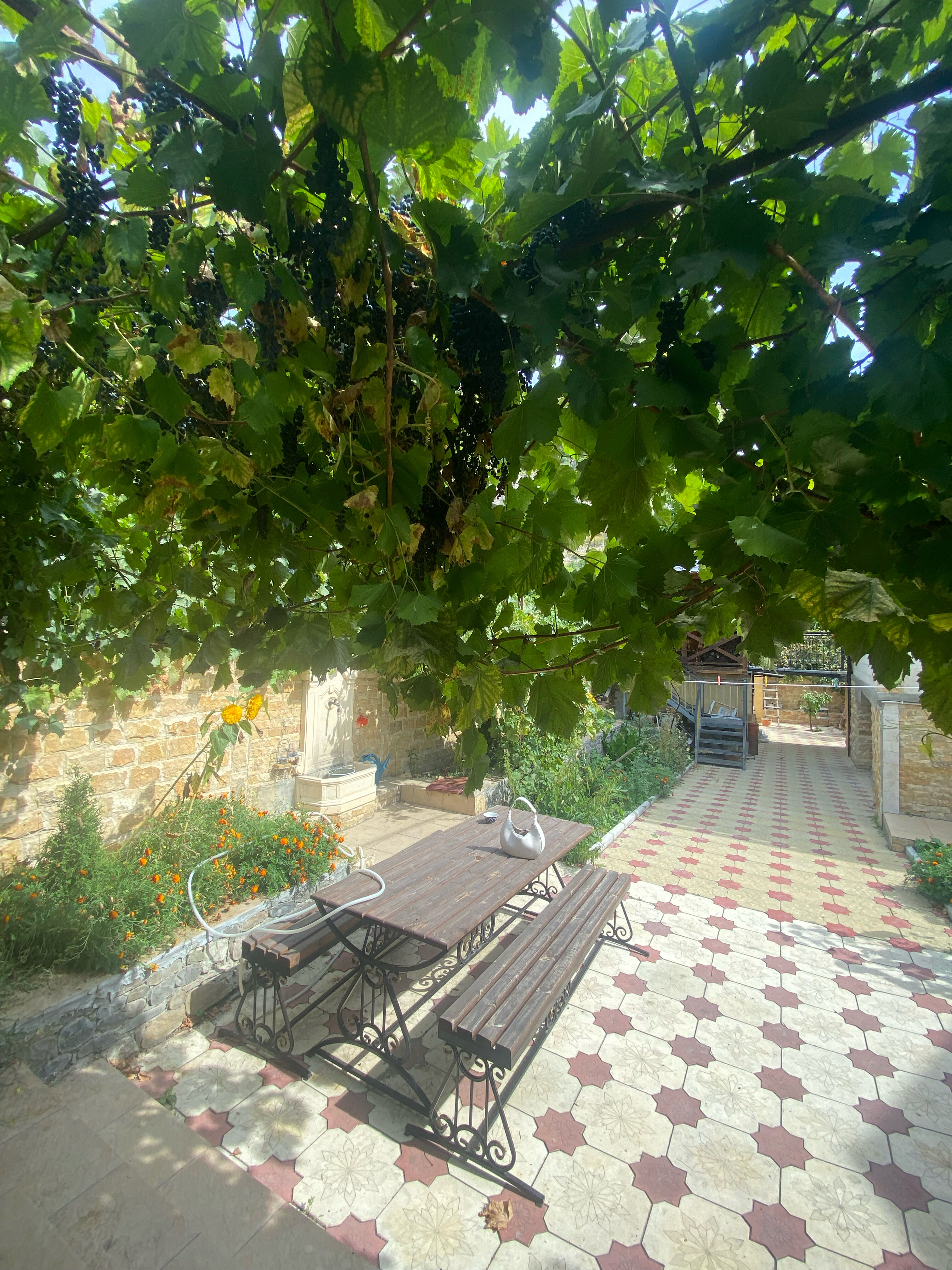 Фото Пейзажи Гуниба