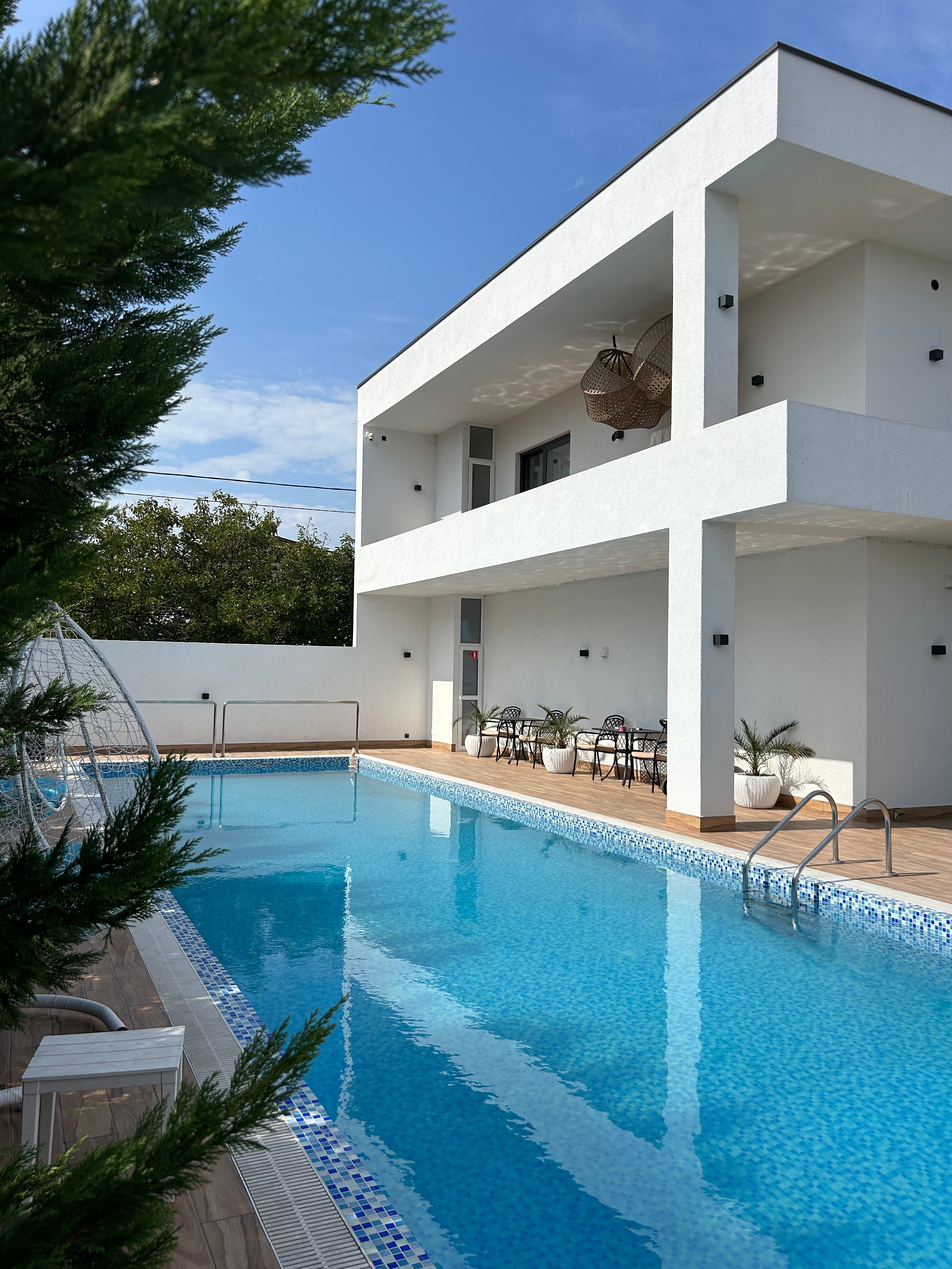 Фото Аристо