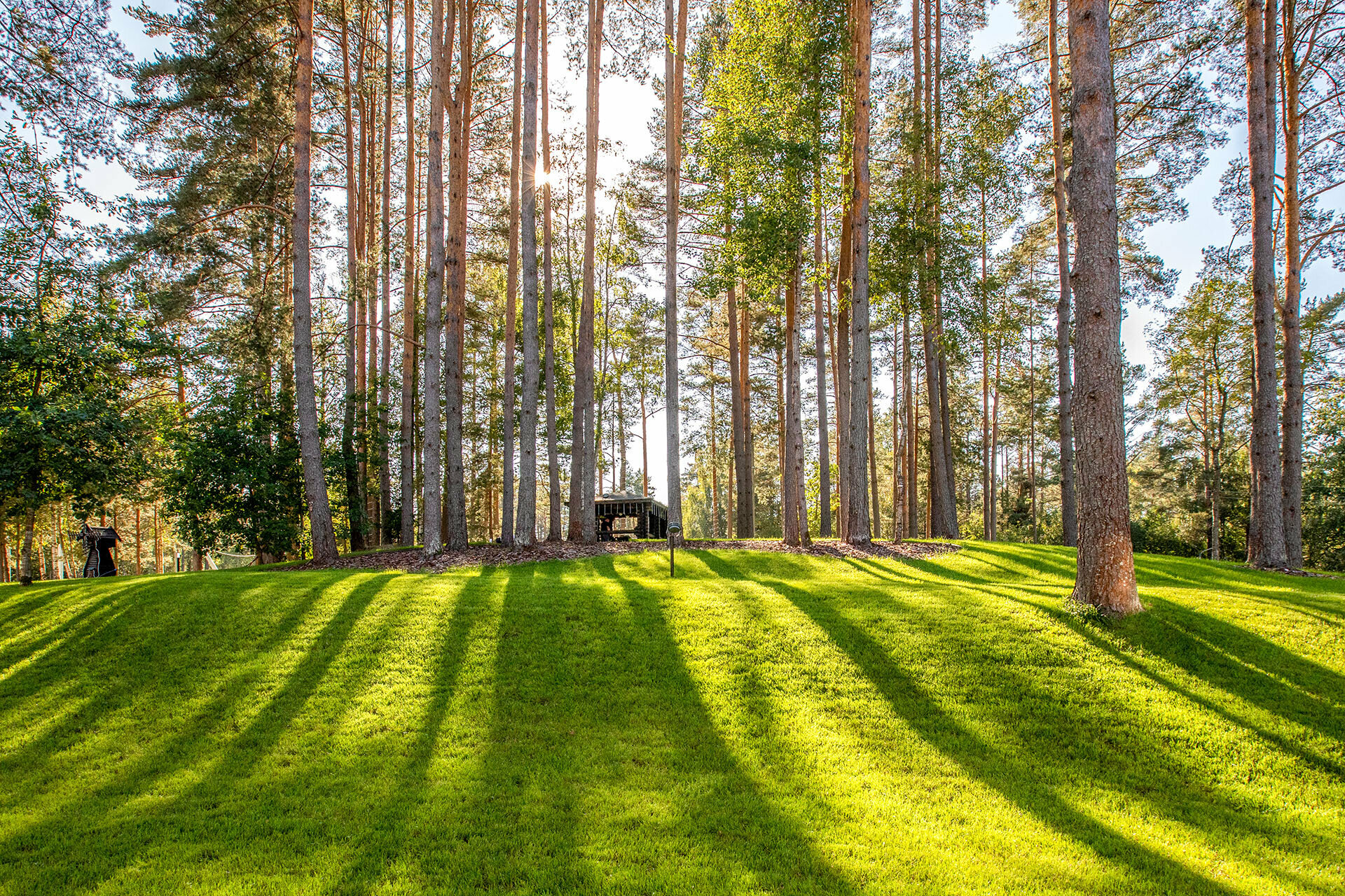 Фото Тюрьма для жира