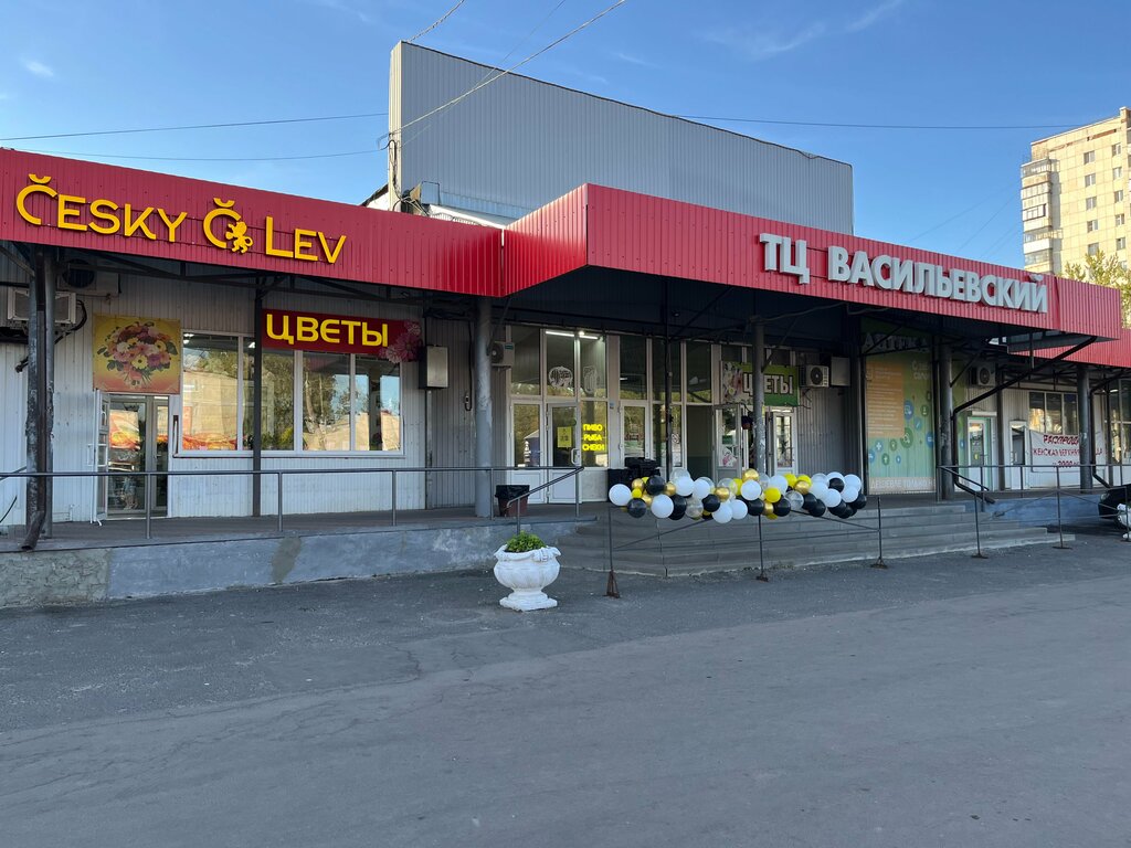 Beer shop Cesky Lev, Kursk, photo