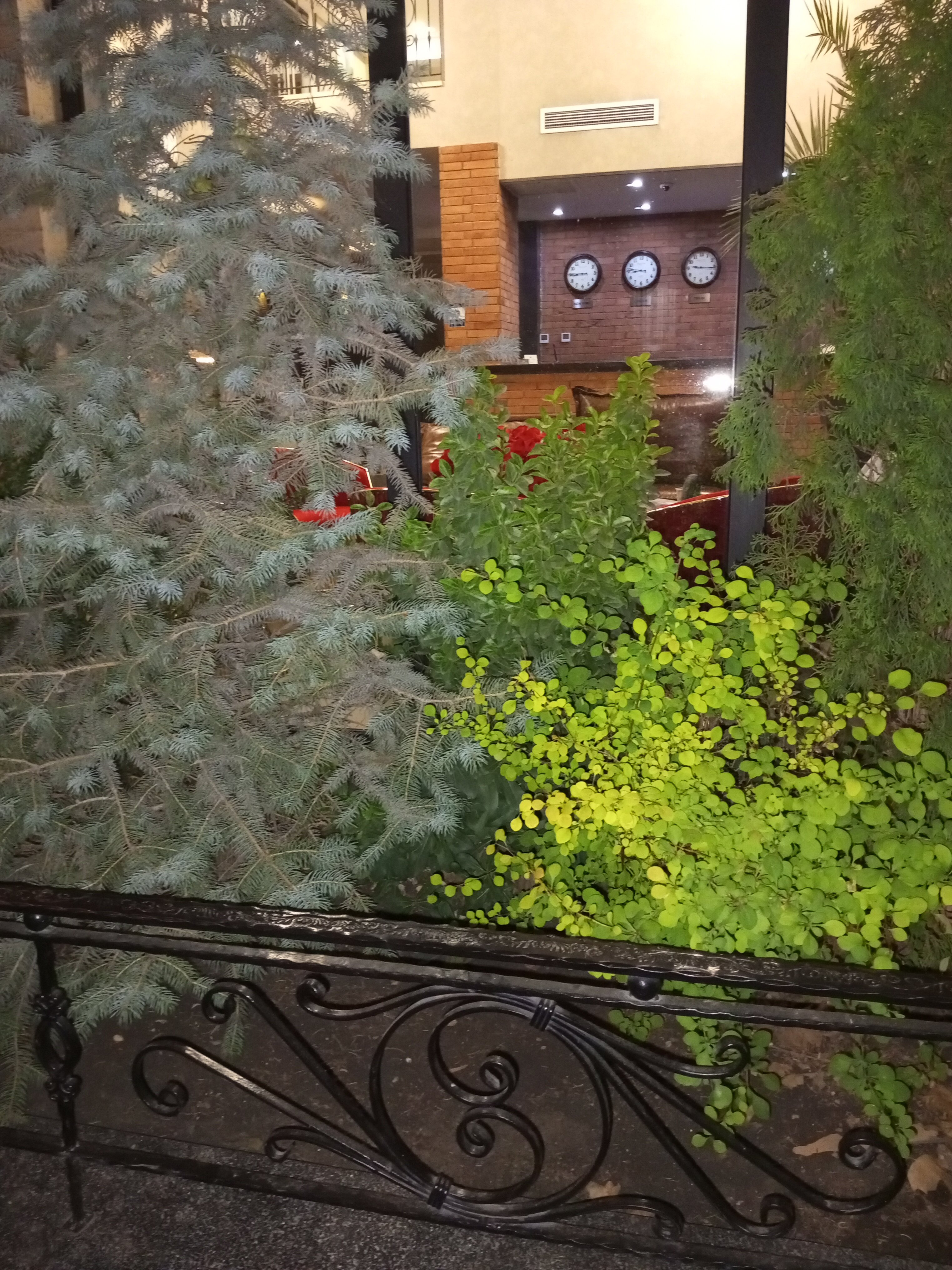 Фото TM Apart Hotel