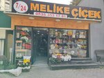 Hazal Cicekcilik (Istanbul, Beylikduzu, Adnan Kahveci Neighborhood, Camlitepe Street, 2/1) ، محل زهور