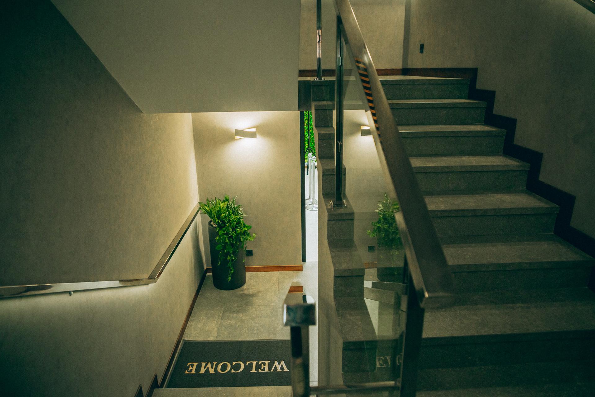 Фото Новая Волга