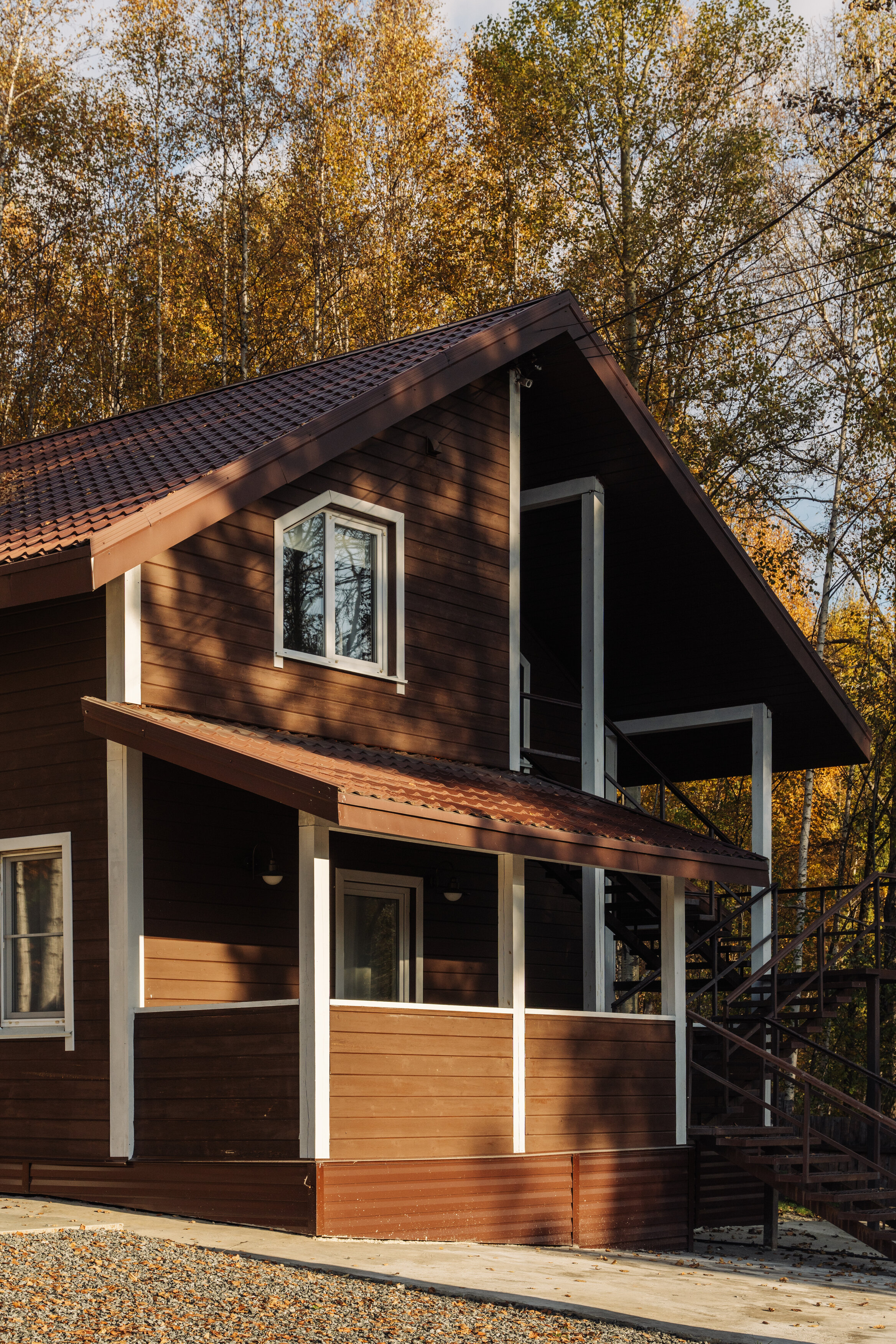 Фото Белый соболь