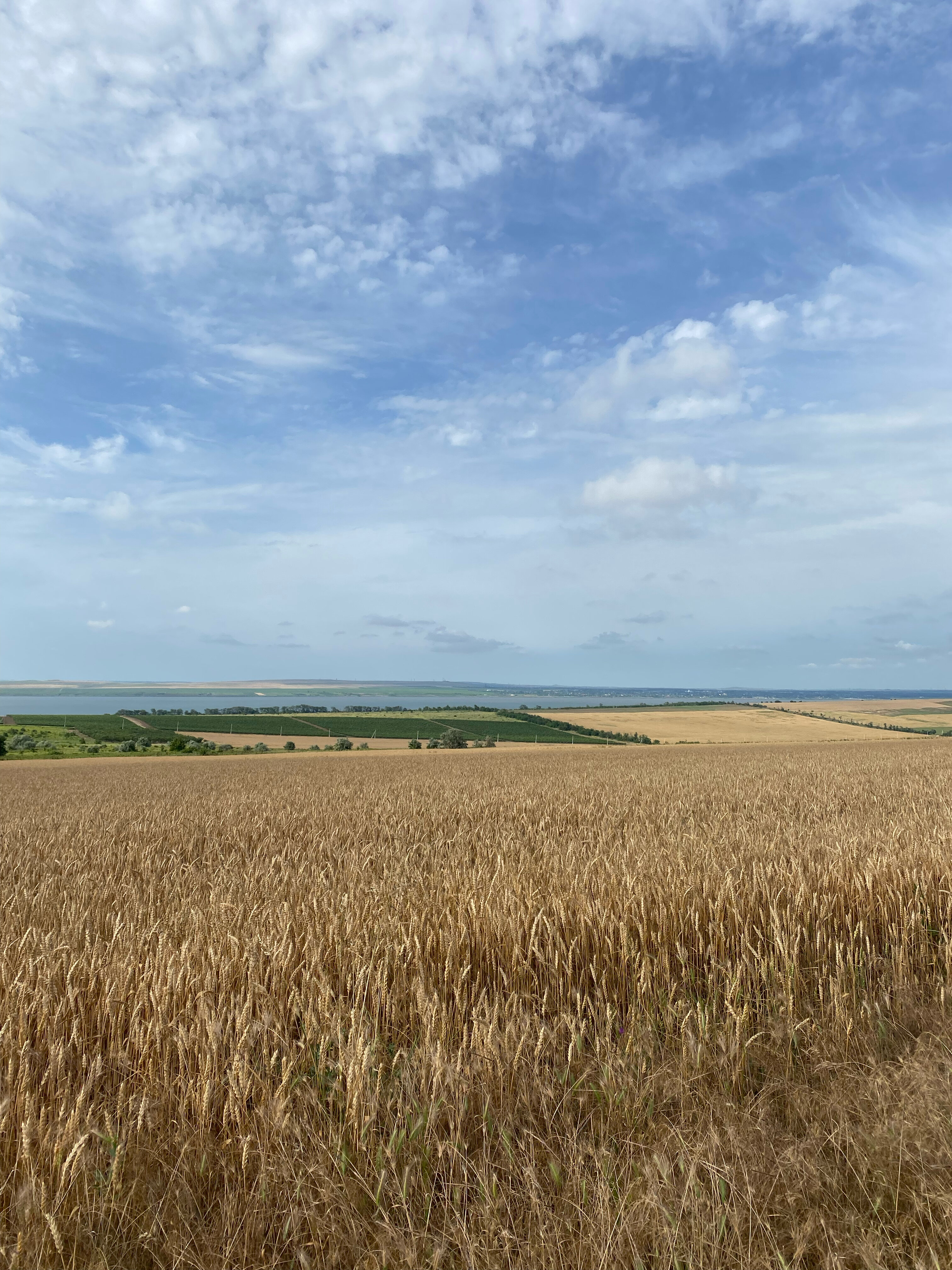 Фото Фридом