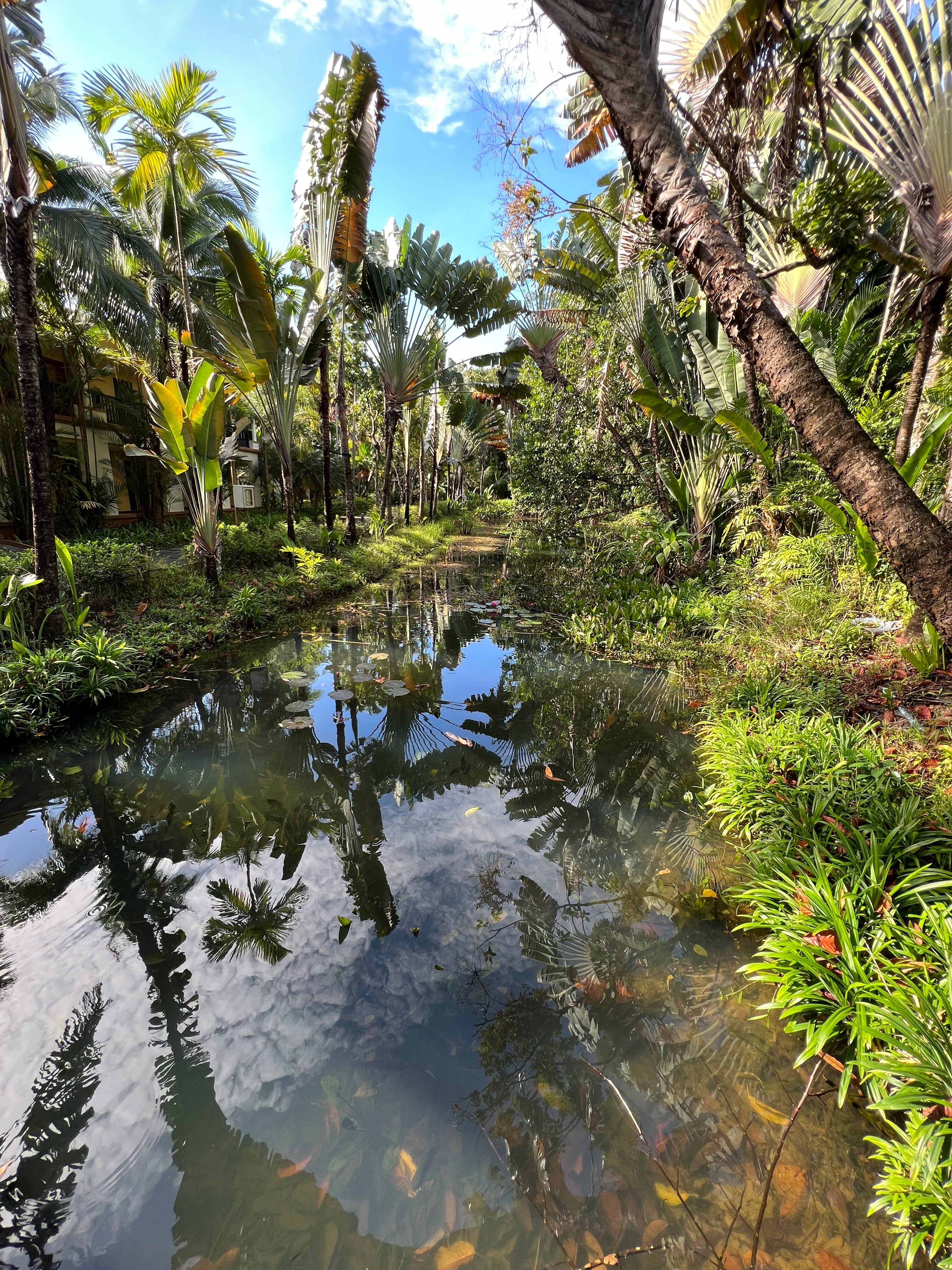 Фото Centara Koh Chang Tropicana Resort