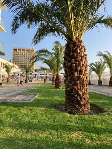 Гостиница Изумруд в Гагре